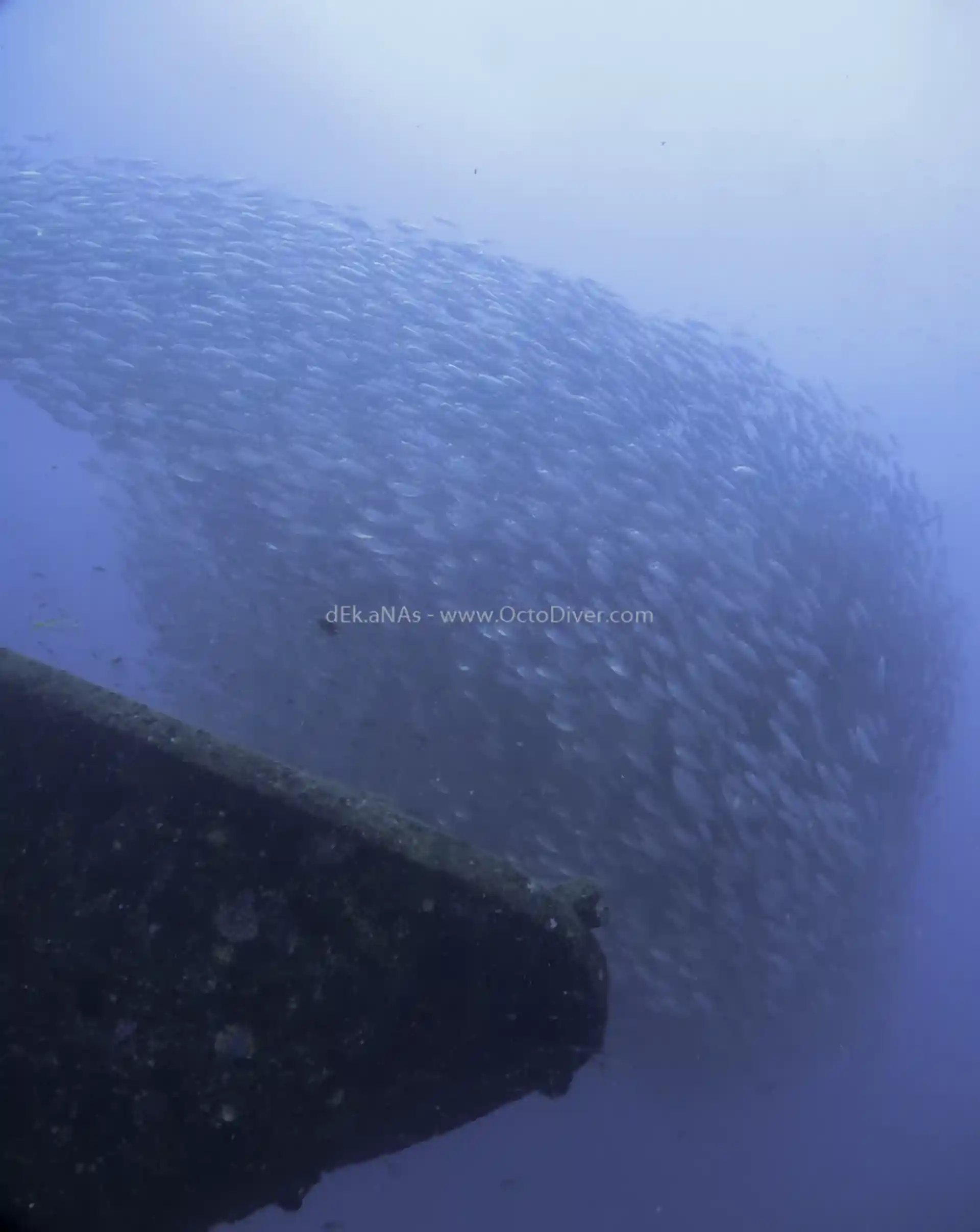 Dive site photo