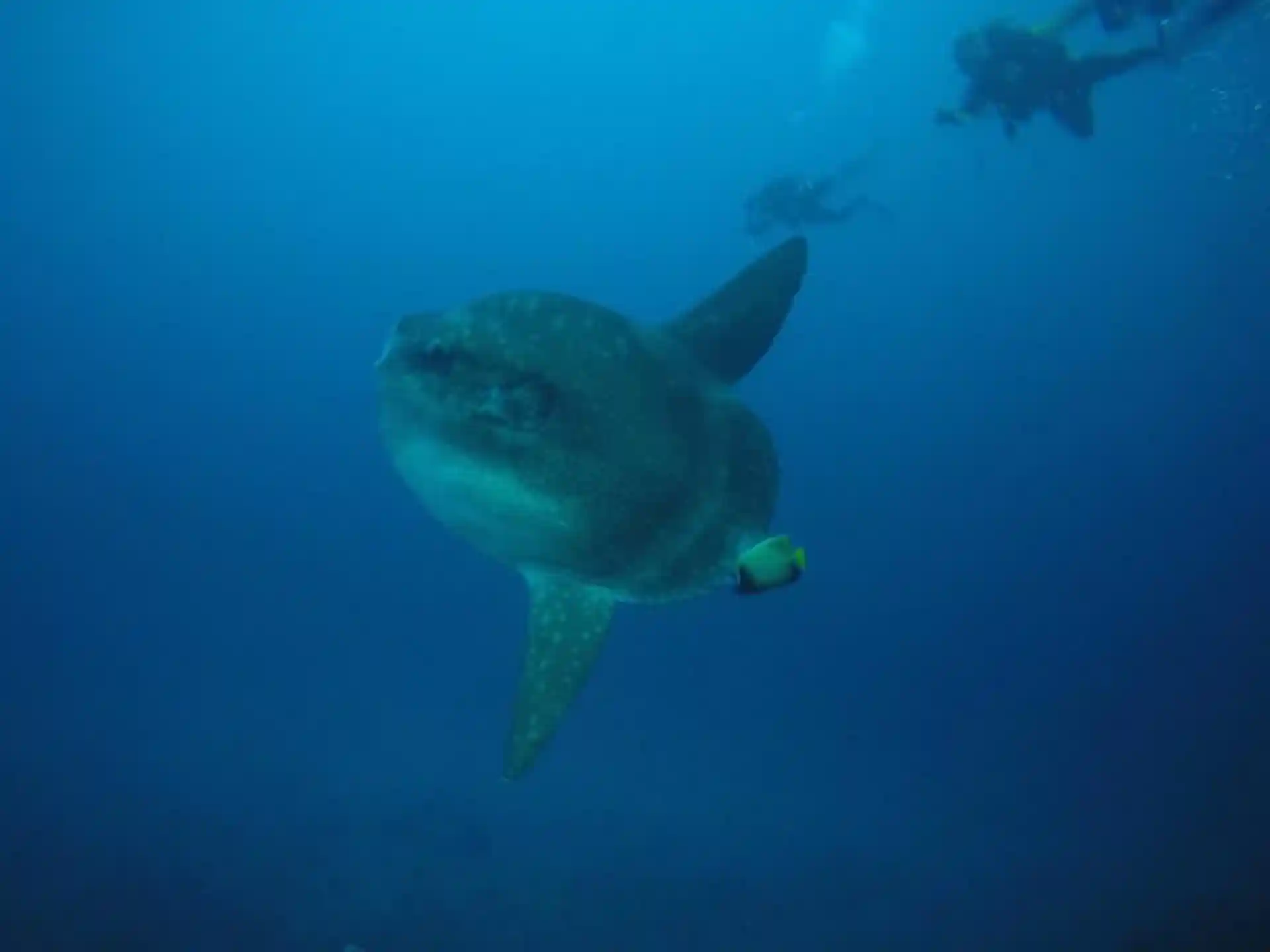 Foto de la actividad