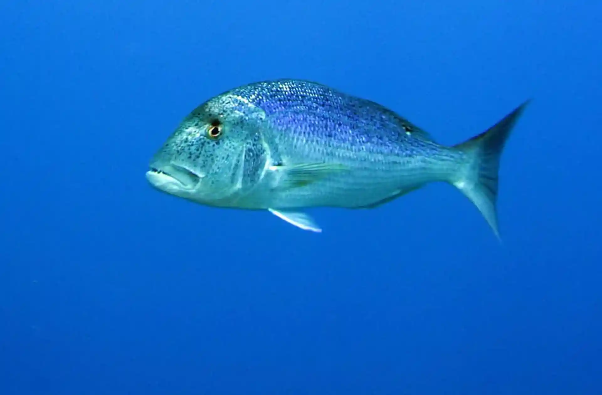 다이빙 포인트 사진