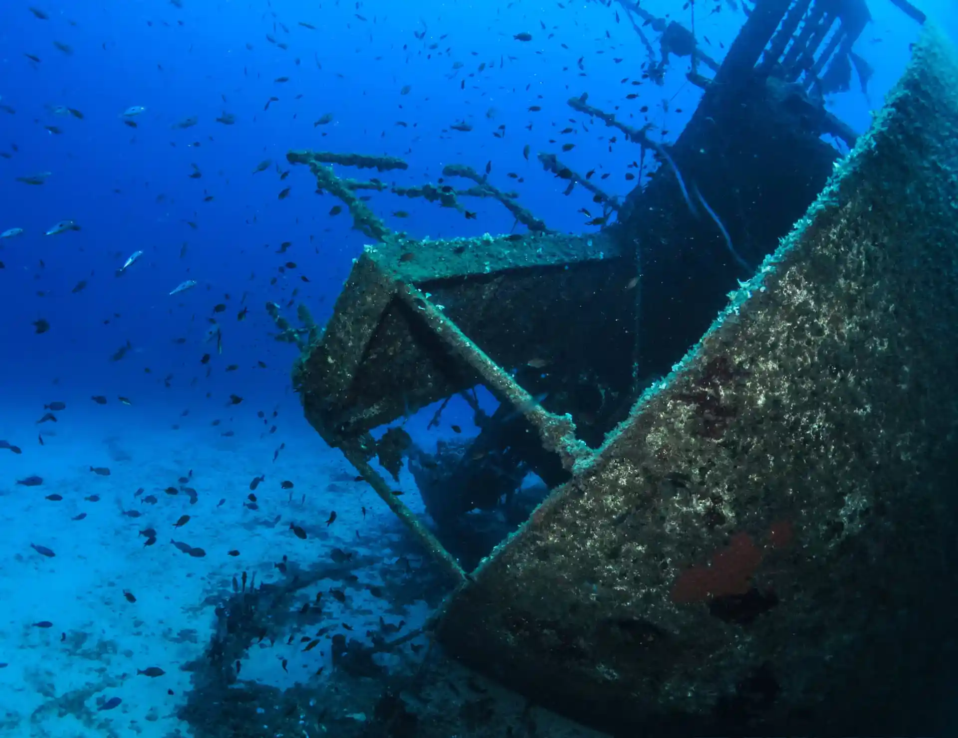 Foto de la actividad