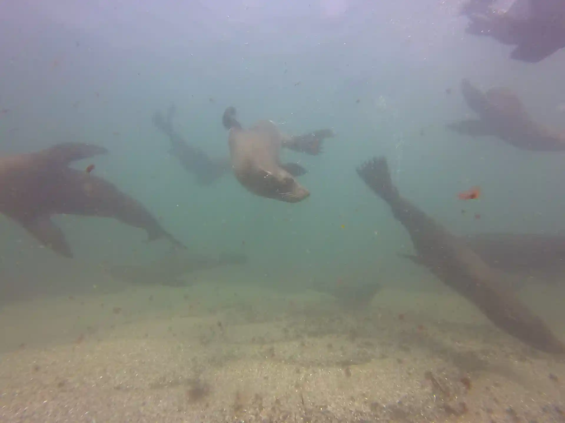 Foto de la tienda de buceo