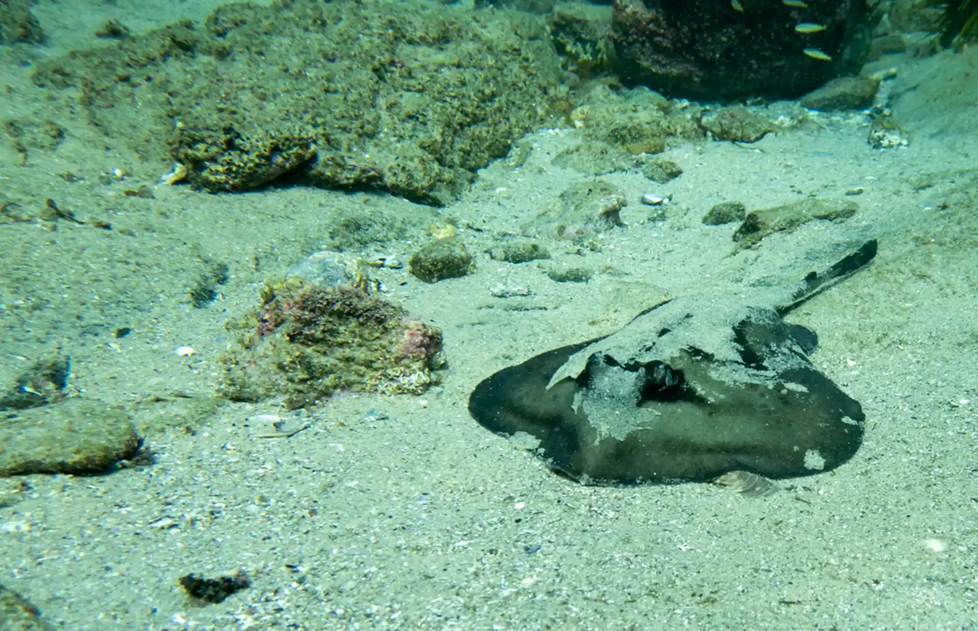 Dive site photo