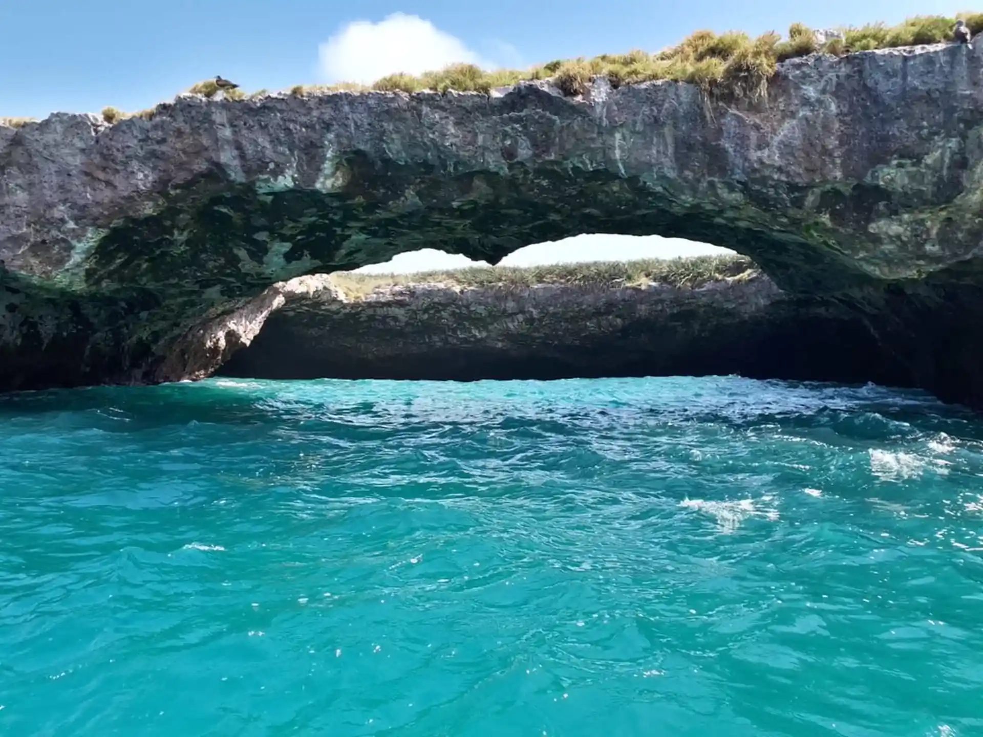 Foto de la actividad