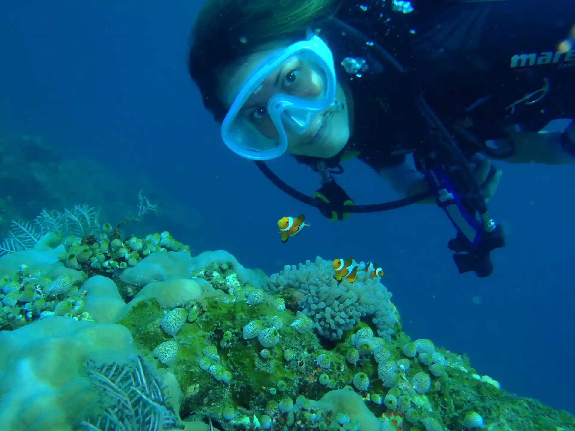 Dive shop photo