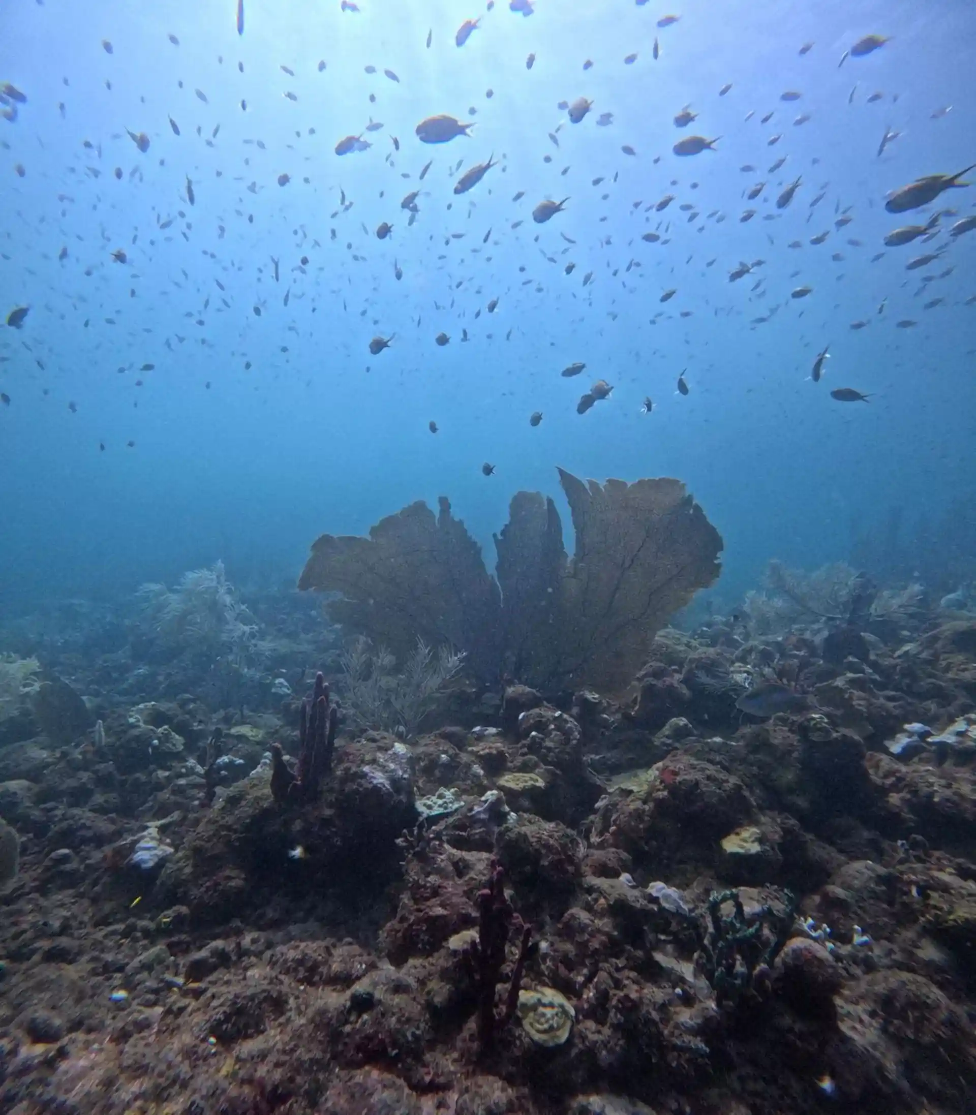 Dive site photo