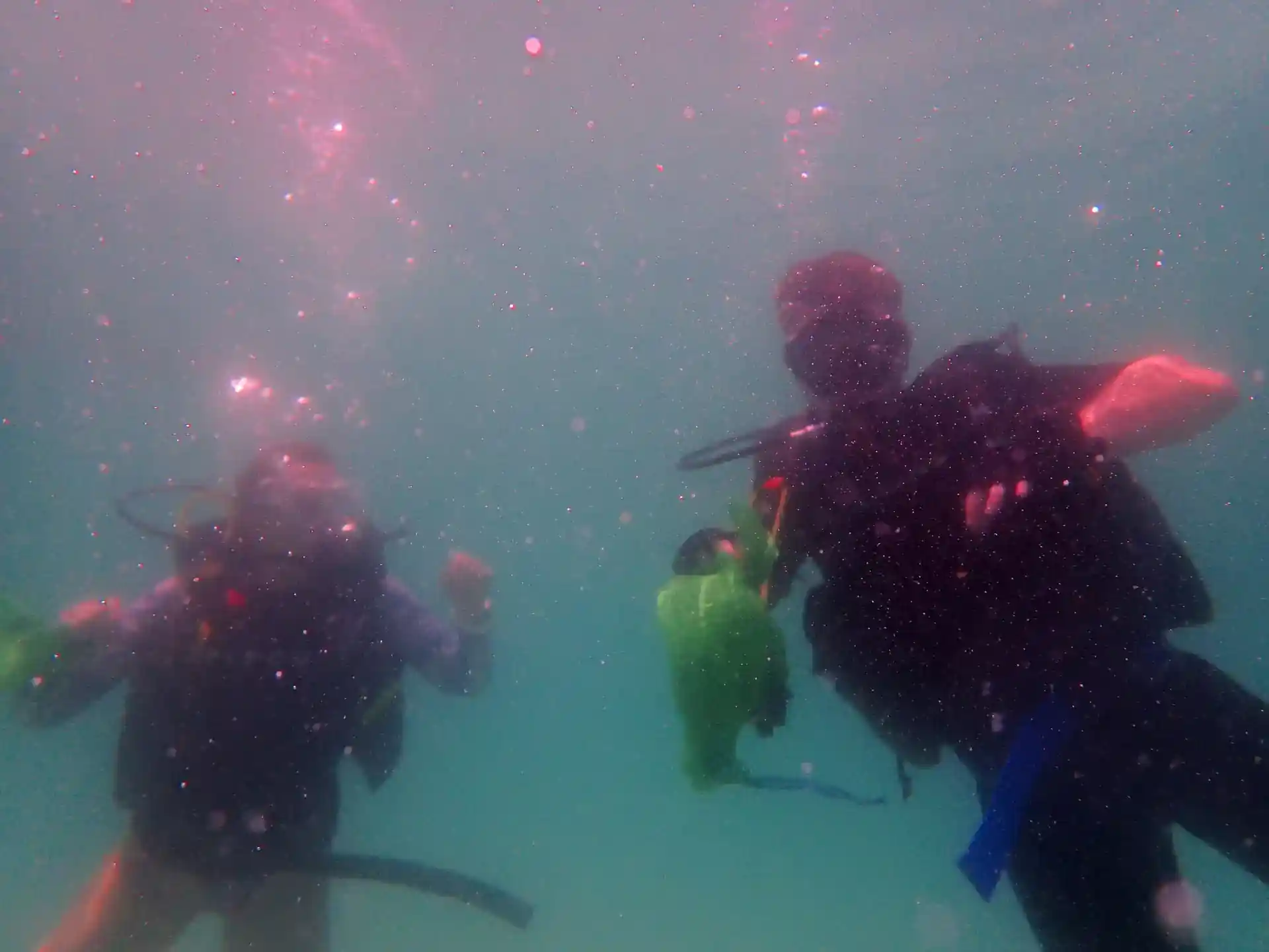 Dive site photo