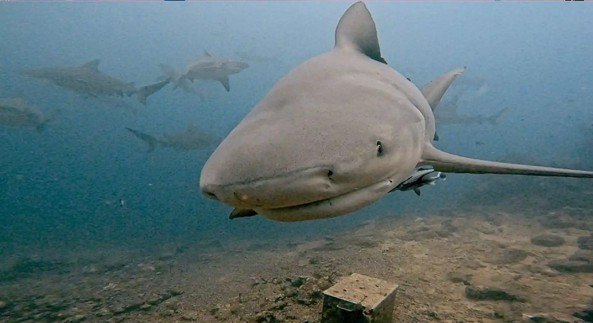 Dive site photo
