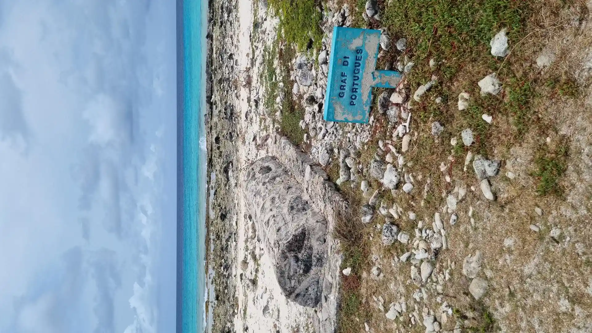Dive site photo