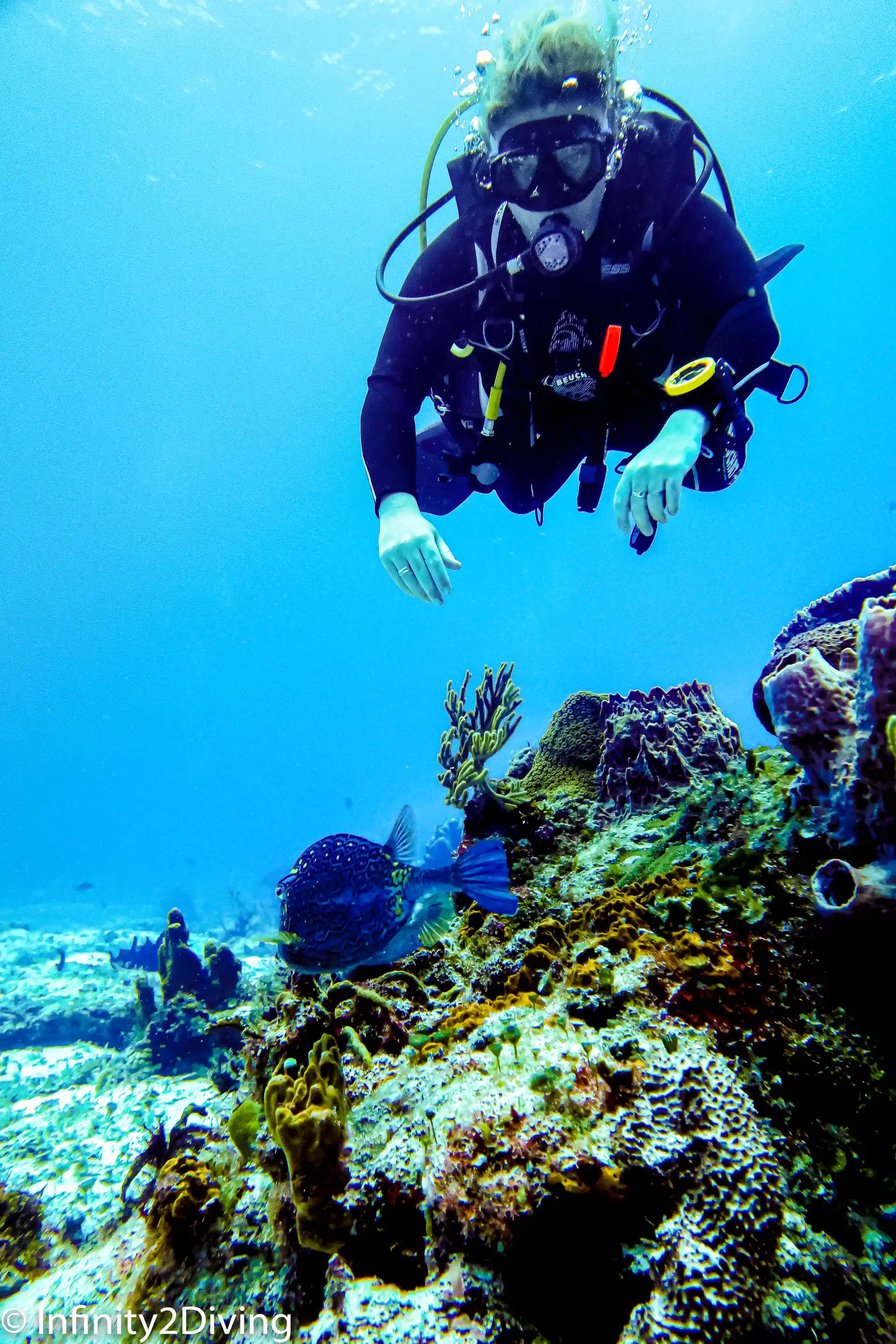 Foto de la actividad