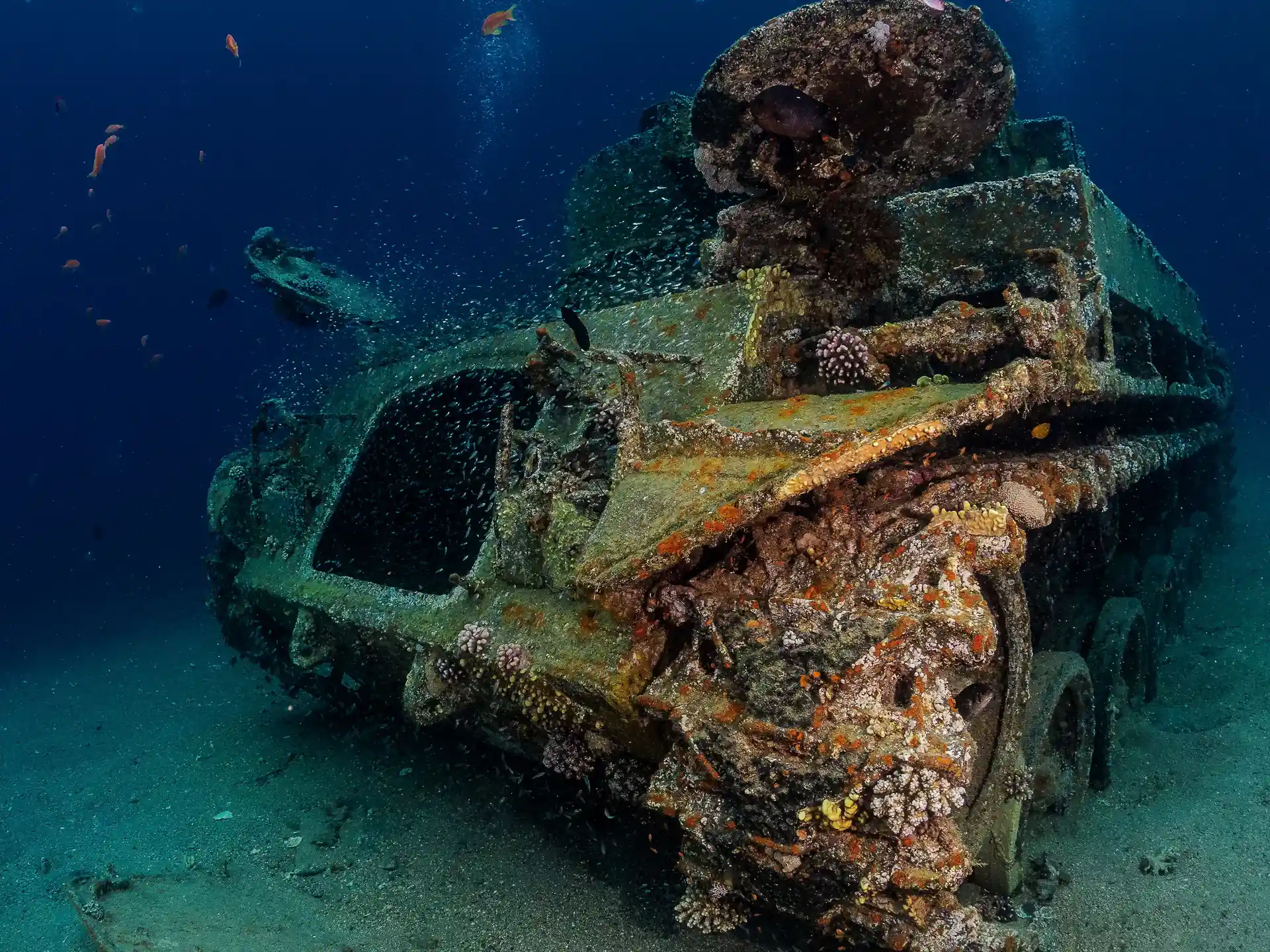 Le tank