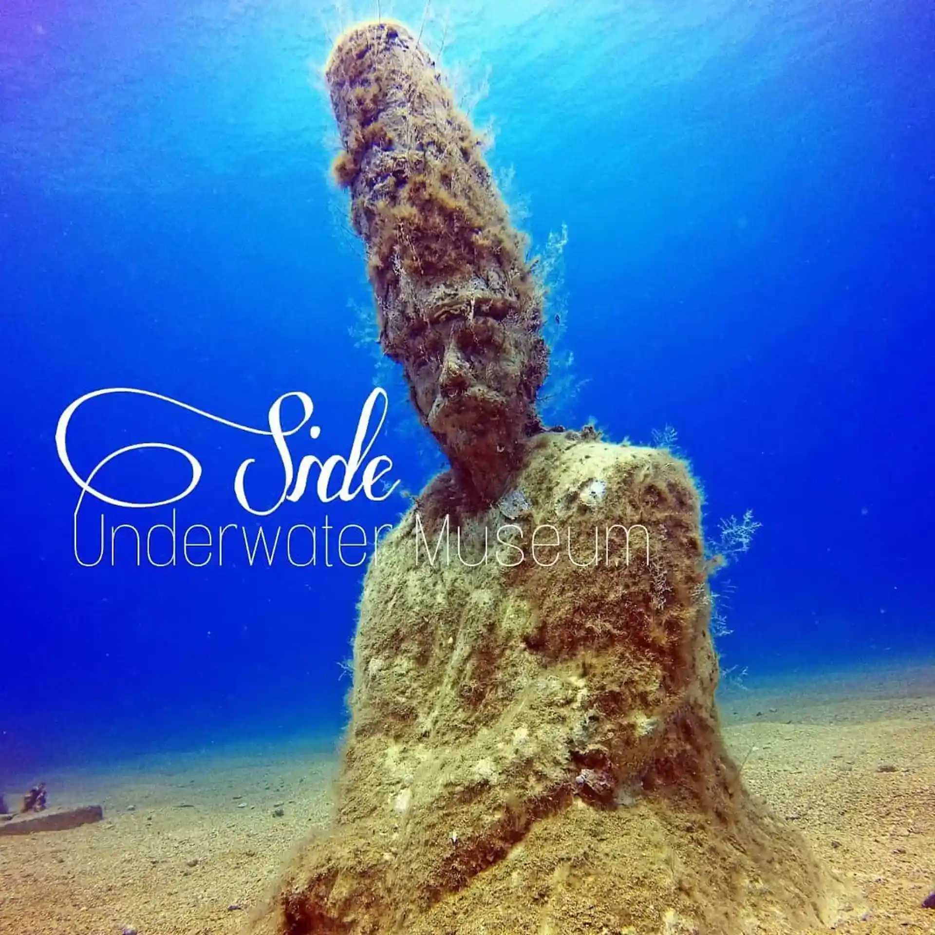 Dive shop photo