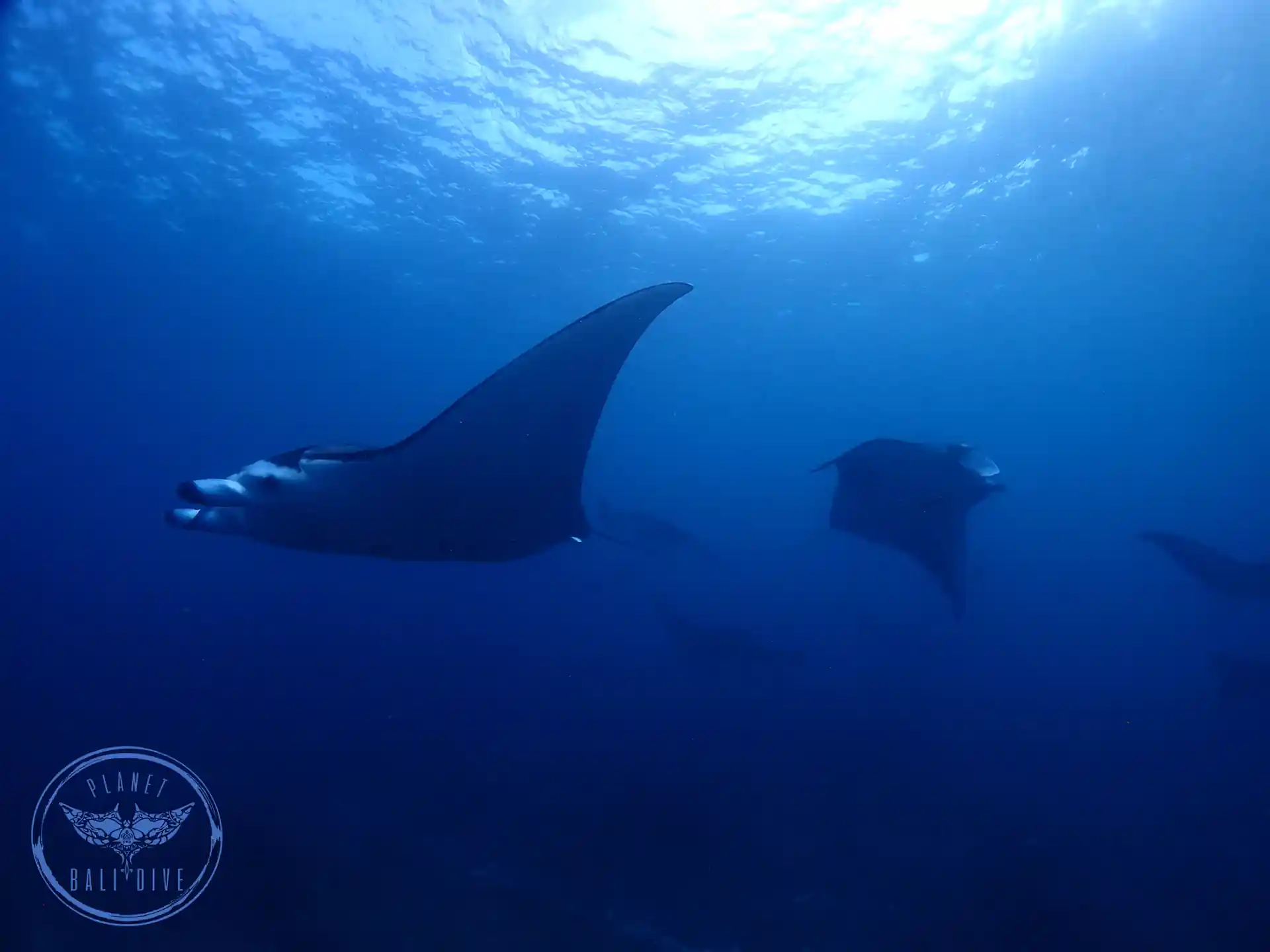 Foto de la actividad