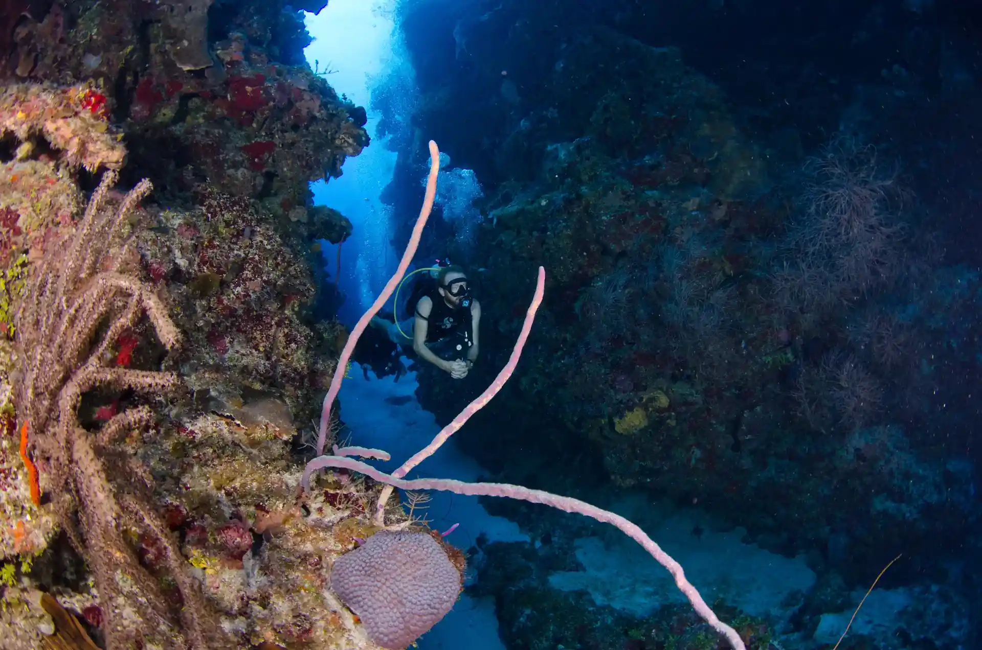 Dive site photo