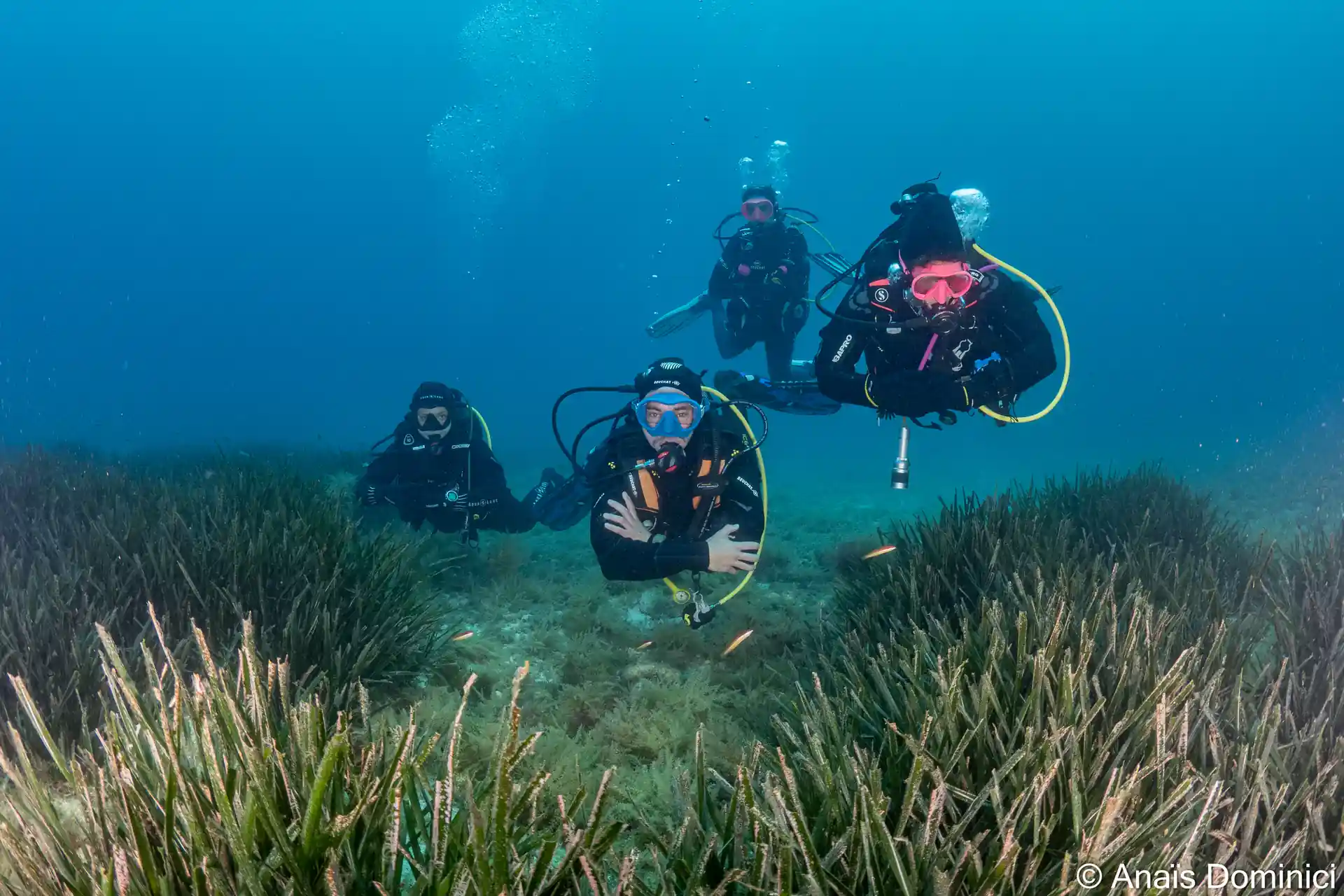 Photo de l'activité