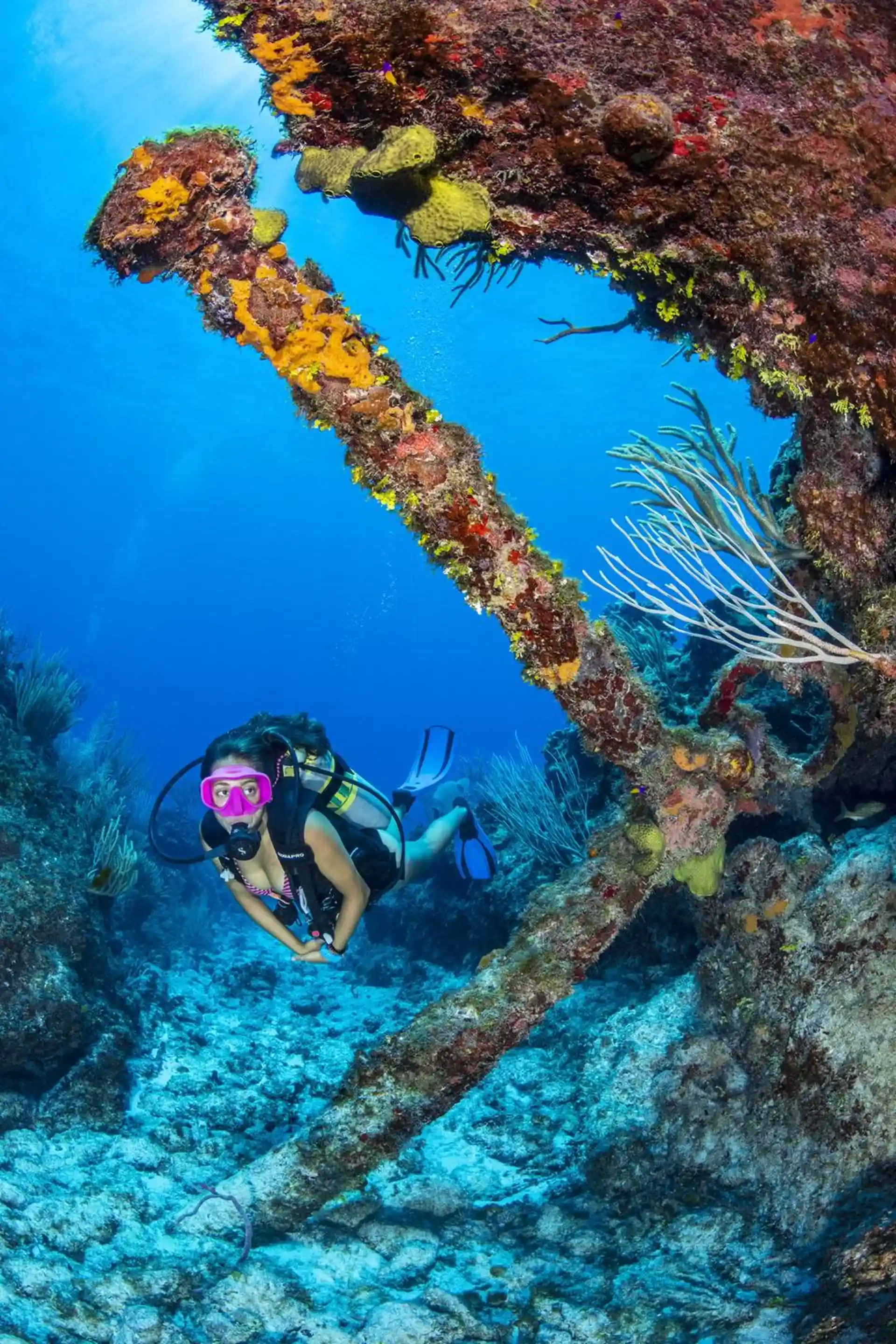 Dive site photo