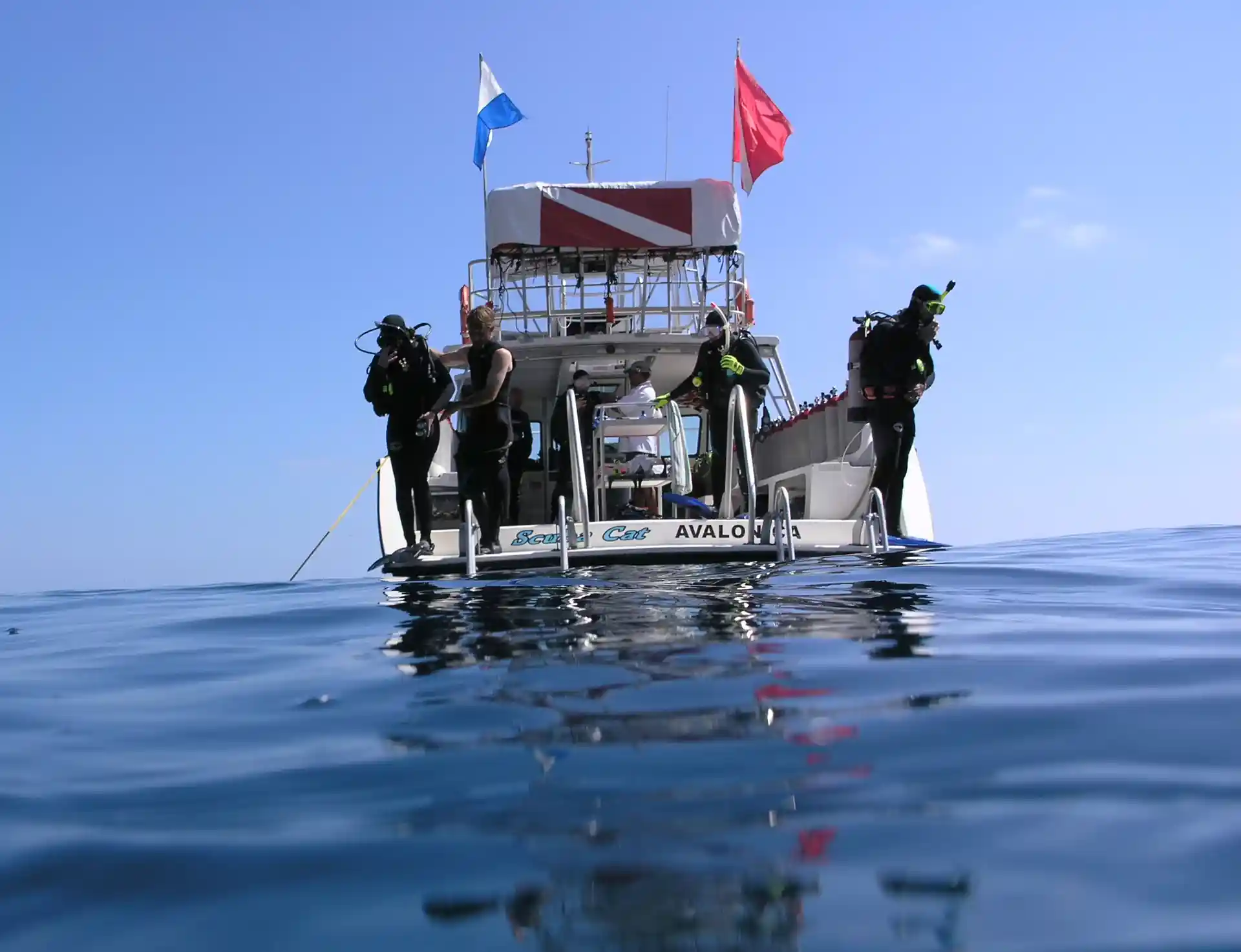 The Scuba Cat is an ideal boat to explore the wonders of Catalina's underwater world.