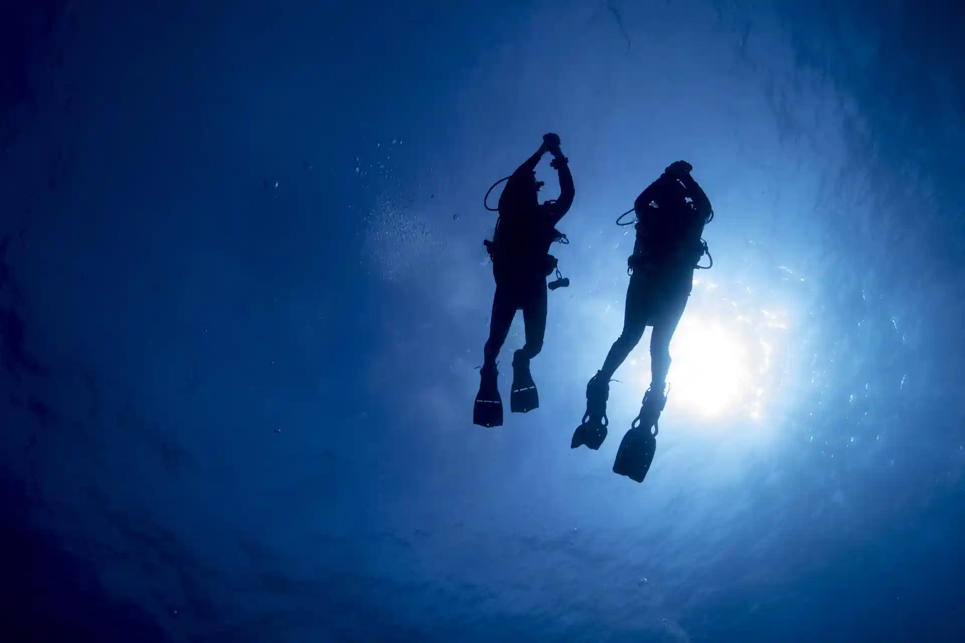 Dive shop photo