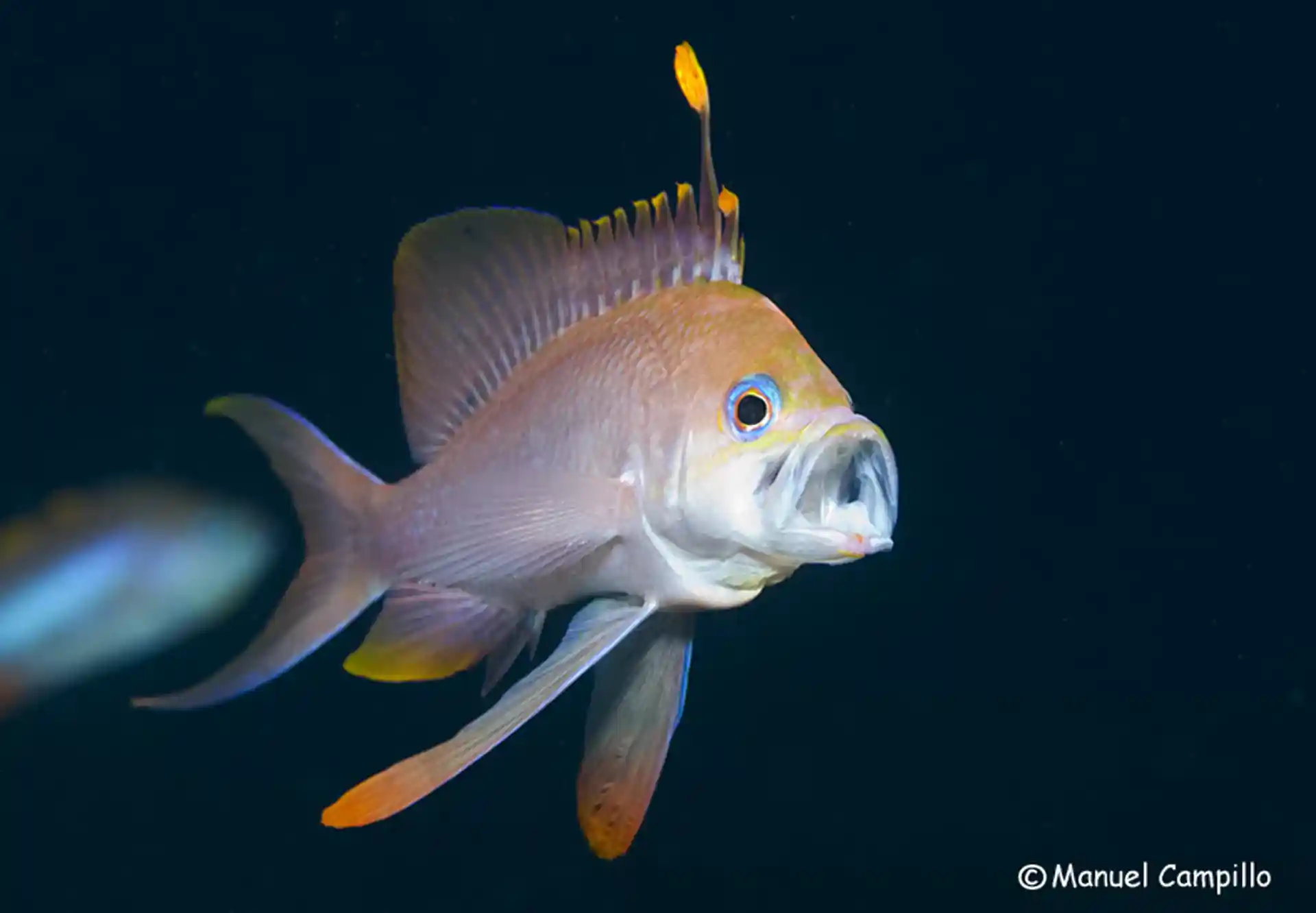 Dive shop photo