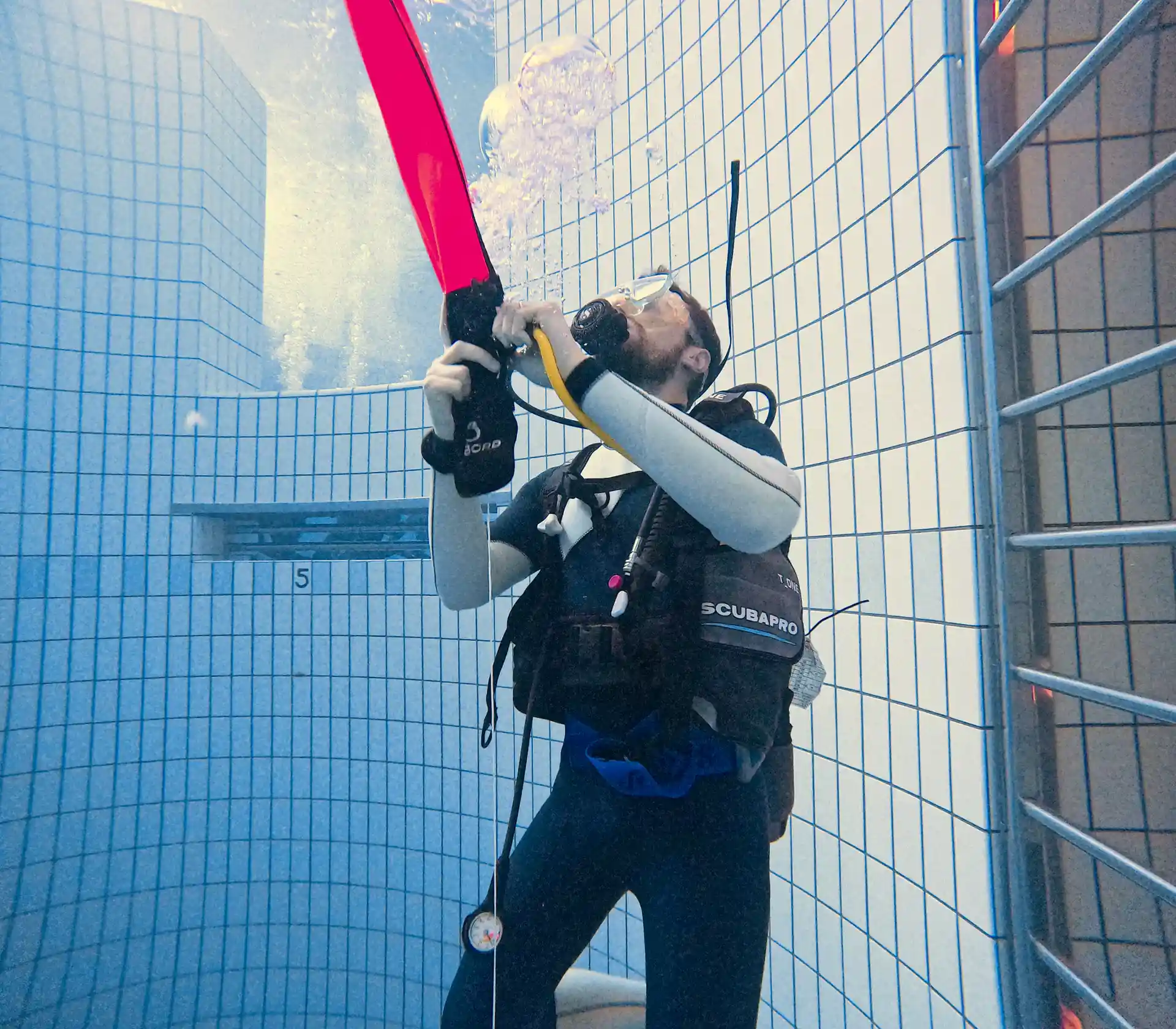 Photo de l'activité