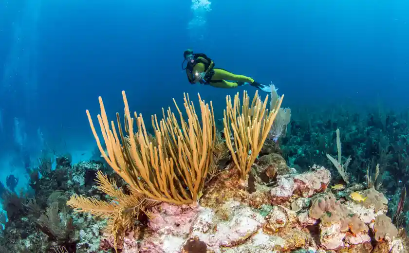 featured destination