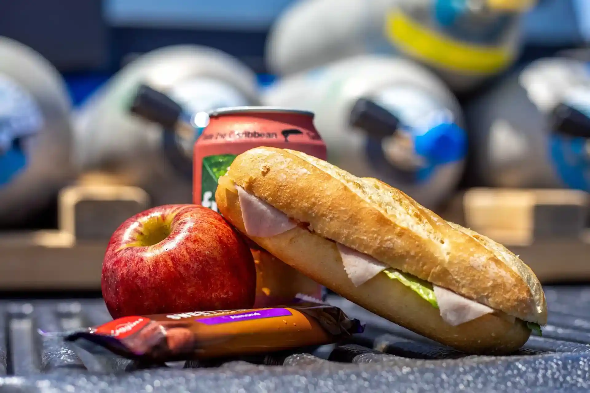 A delicious picnic lunch is included.