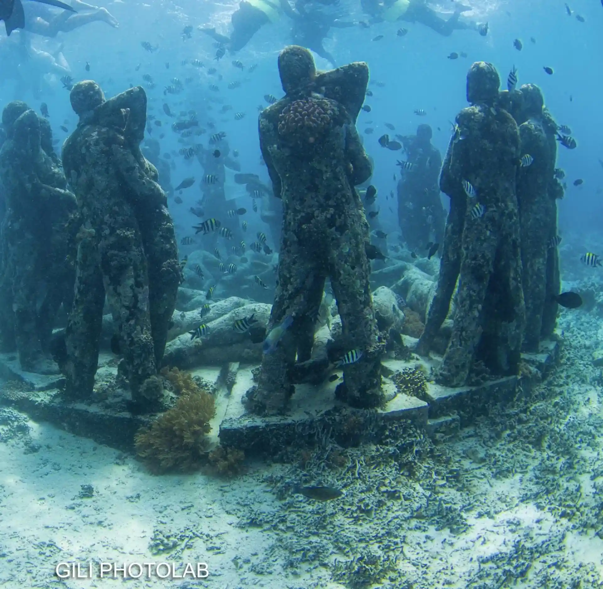 다이빙 포인트 사진