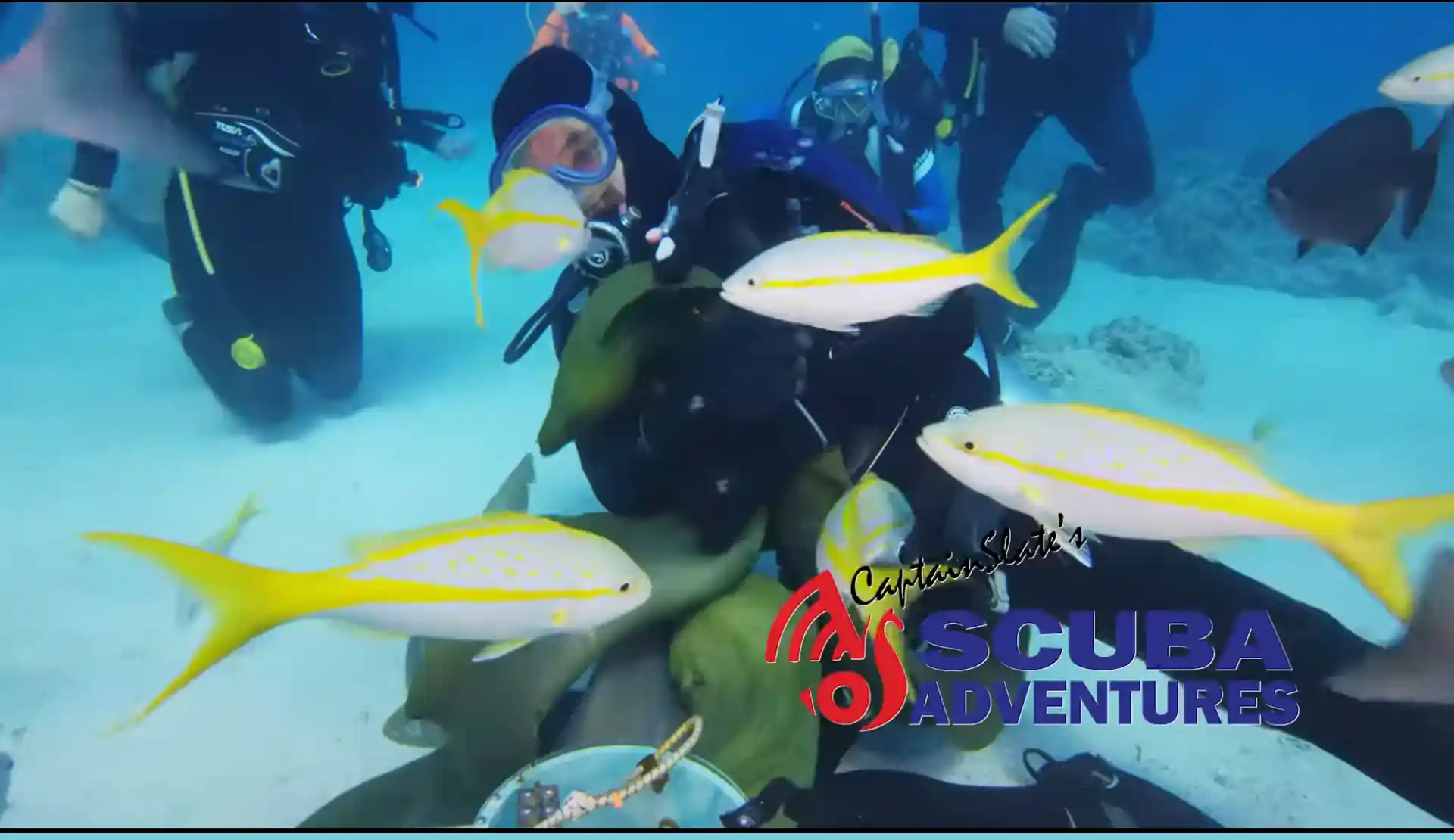 Capt. Slate's Scuba Adventures | Florida Keys-Tavernier | PADI Dive Center
