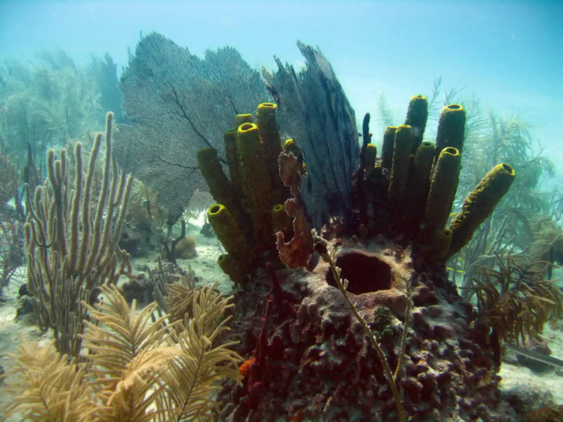 Foto des Tauchplatzes