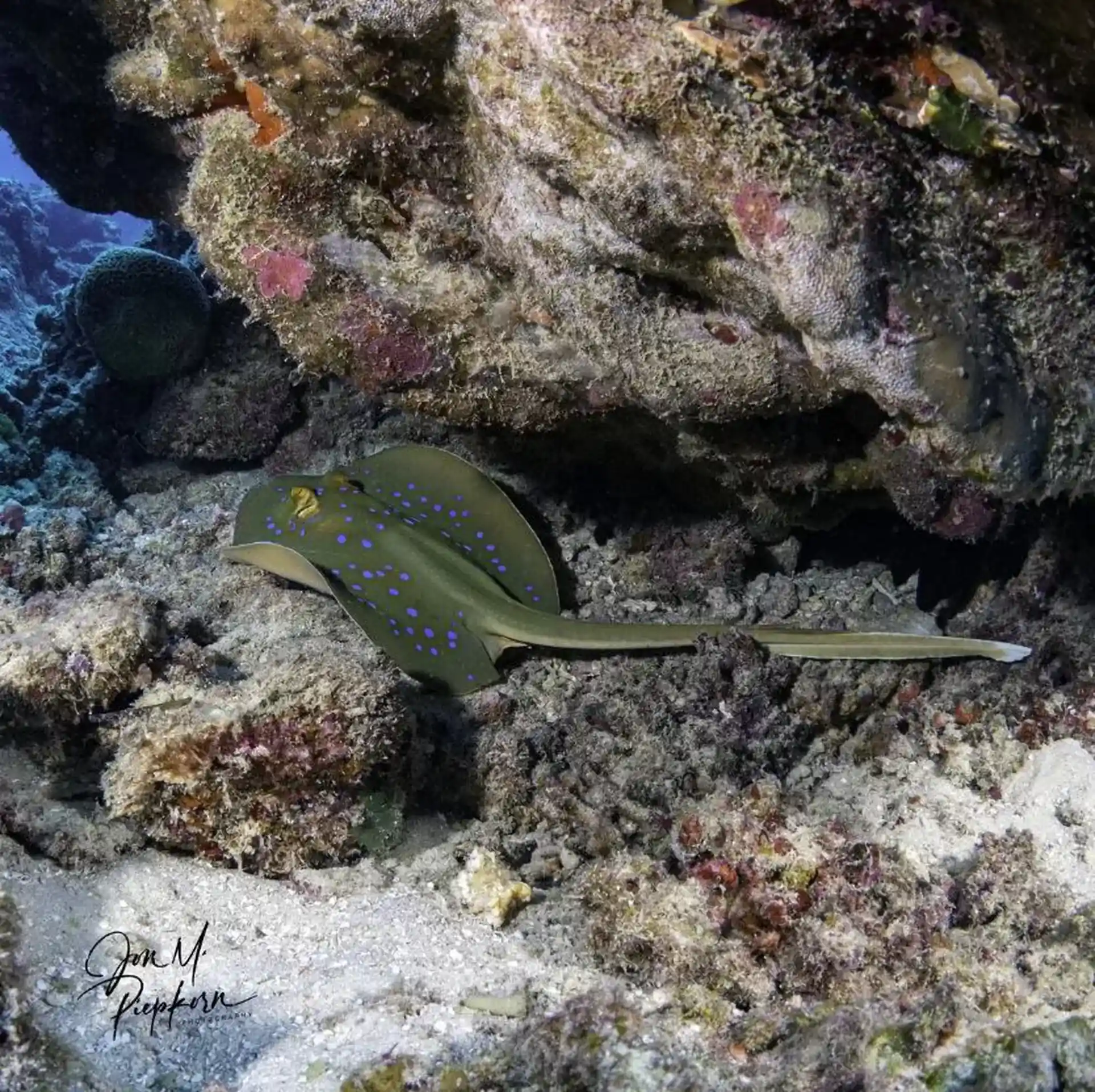 Dive shop photo