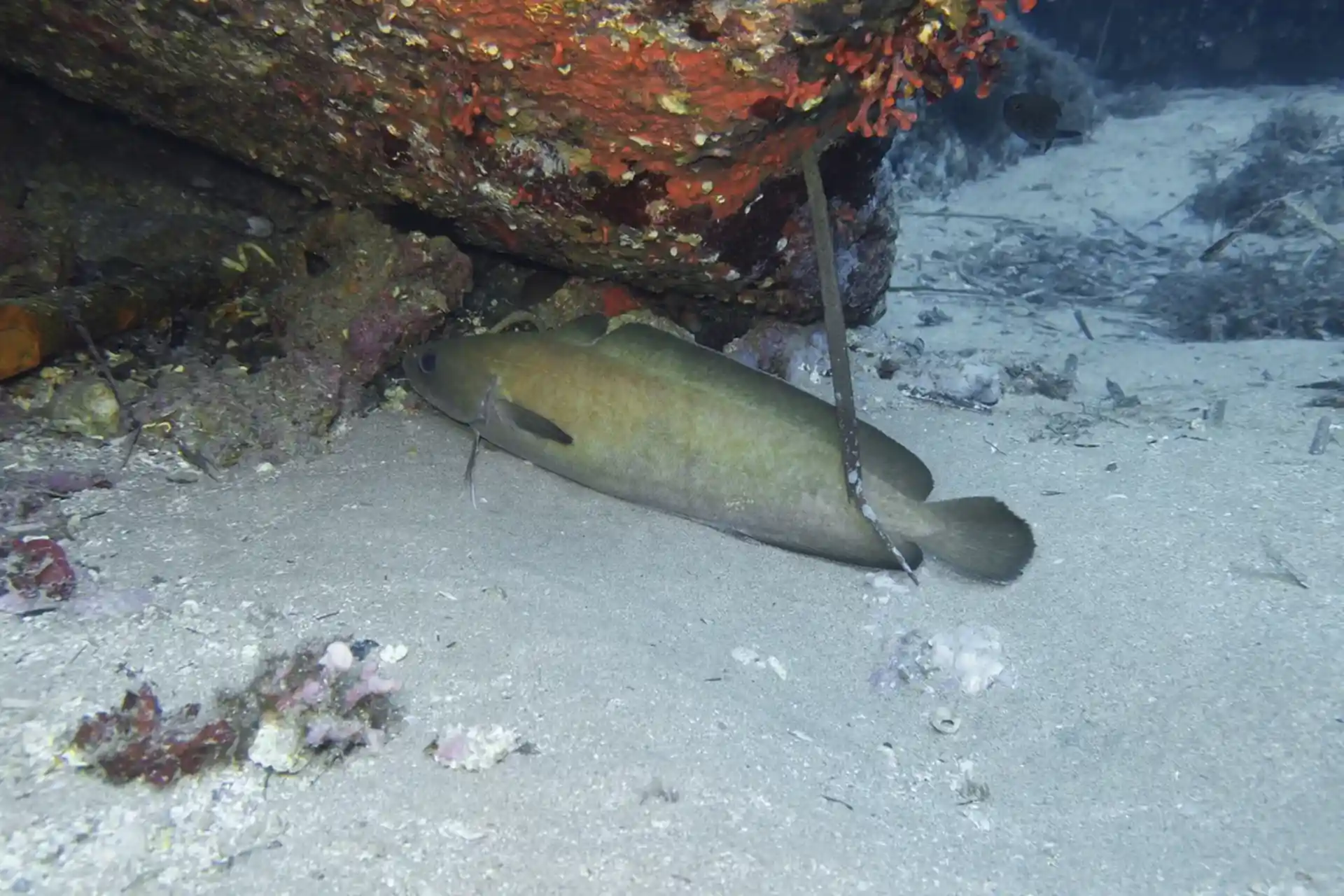 다이빙 포인트 사진