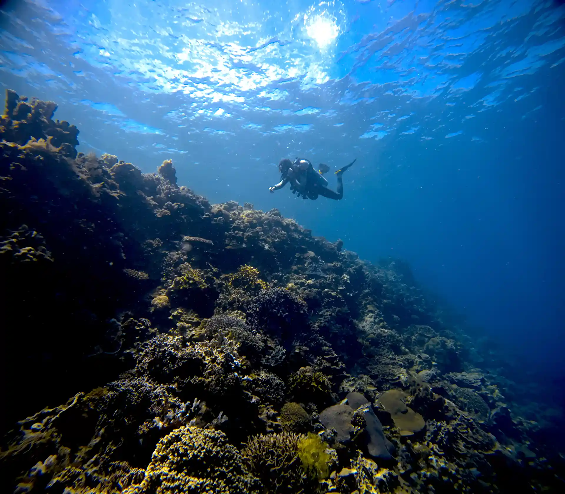 Diving in Siquijor offers stunning views.