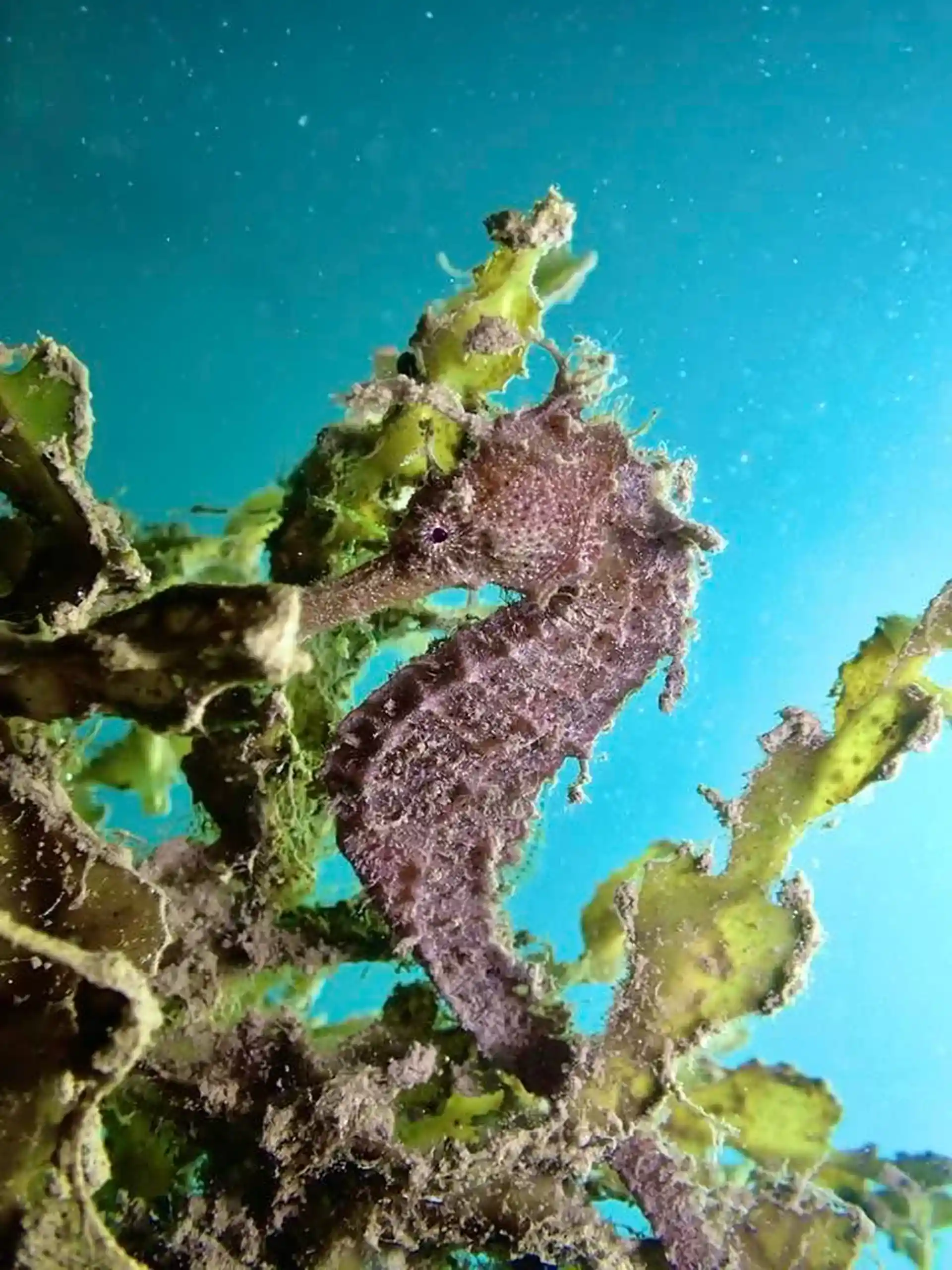 ダイビングサイトの写真