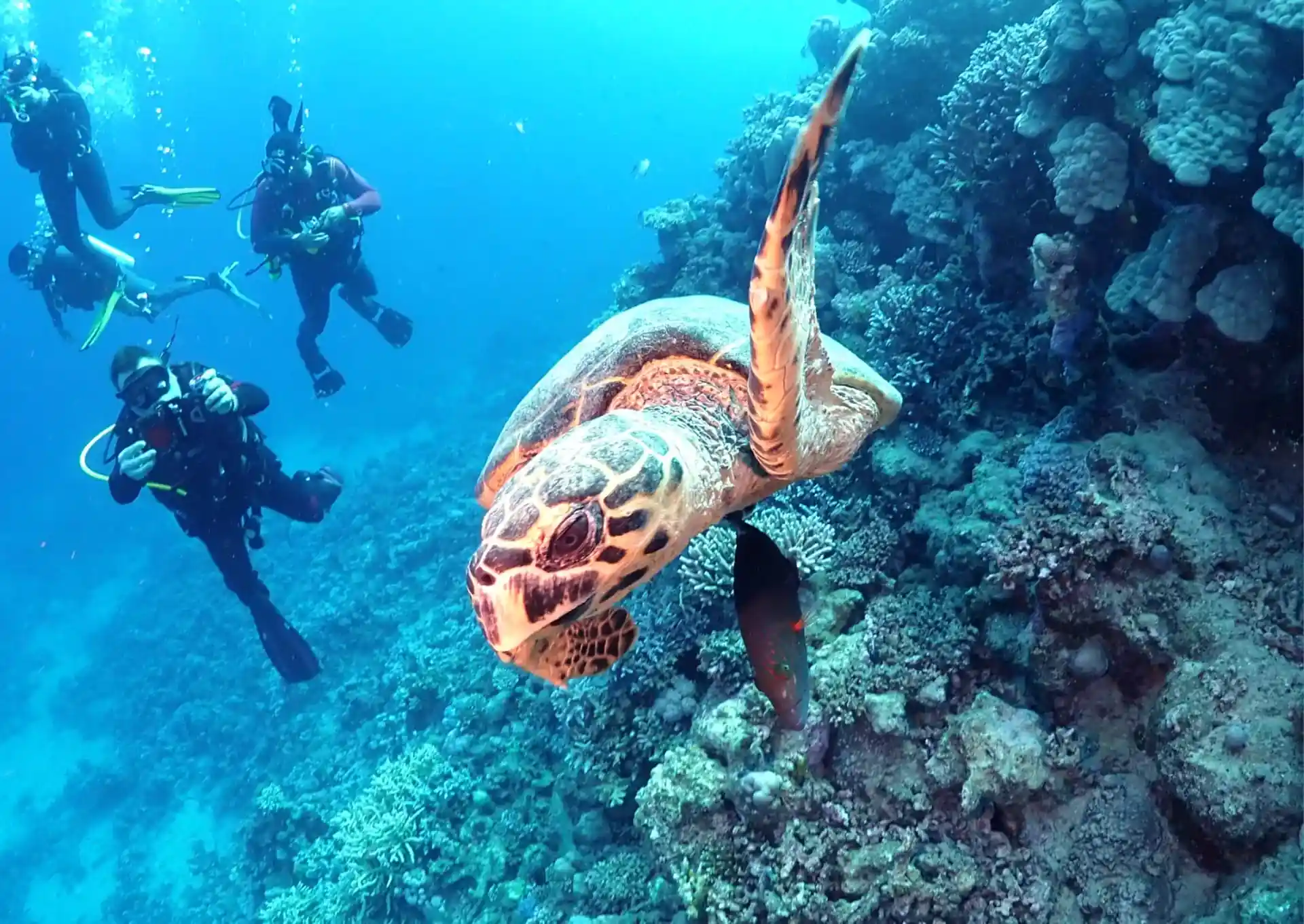 Dive shop photo