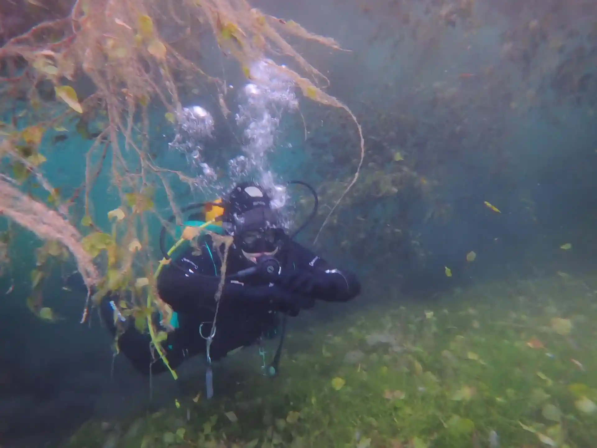 Dive site photo