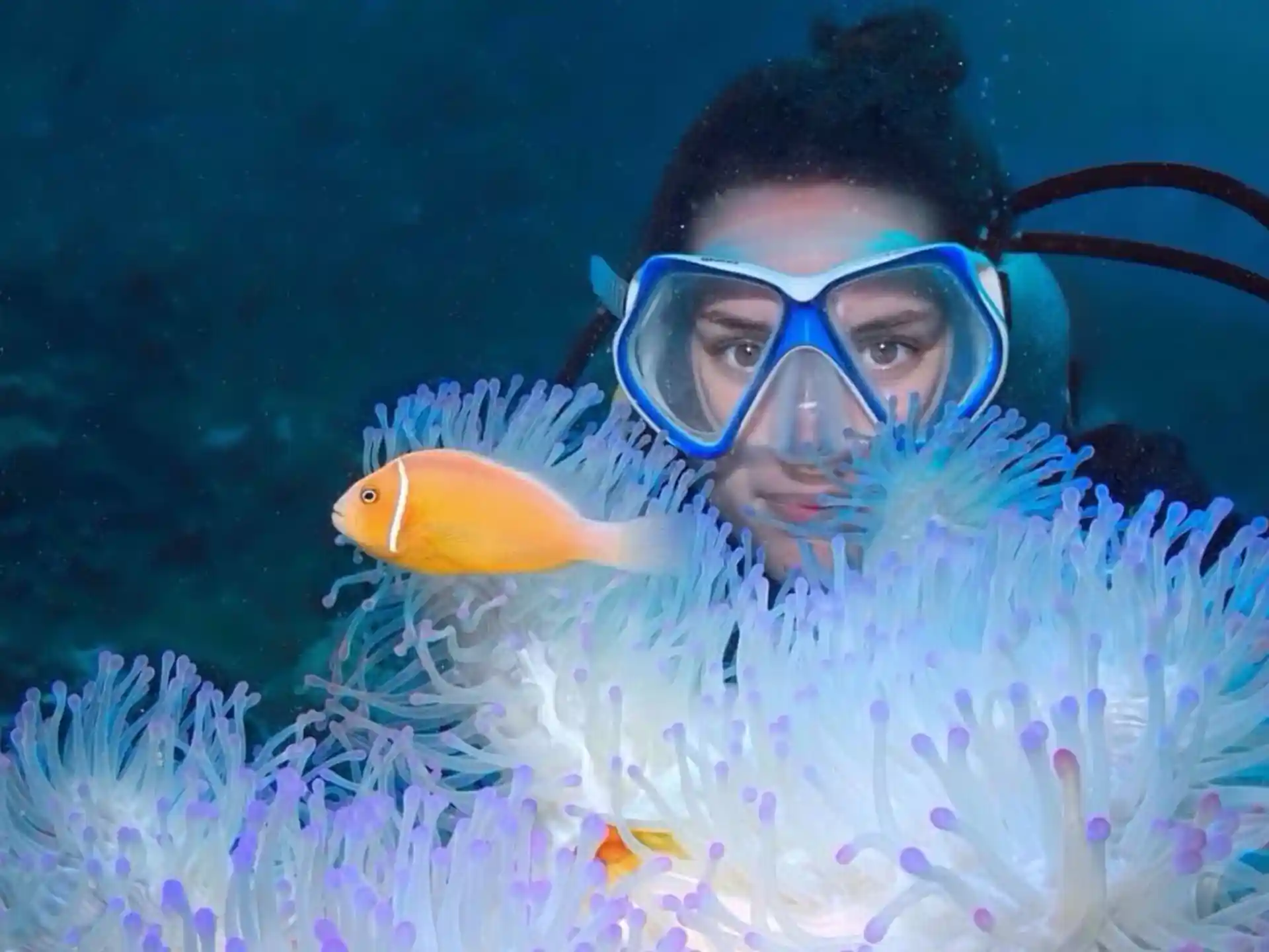 Dive shop photo