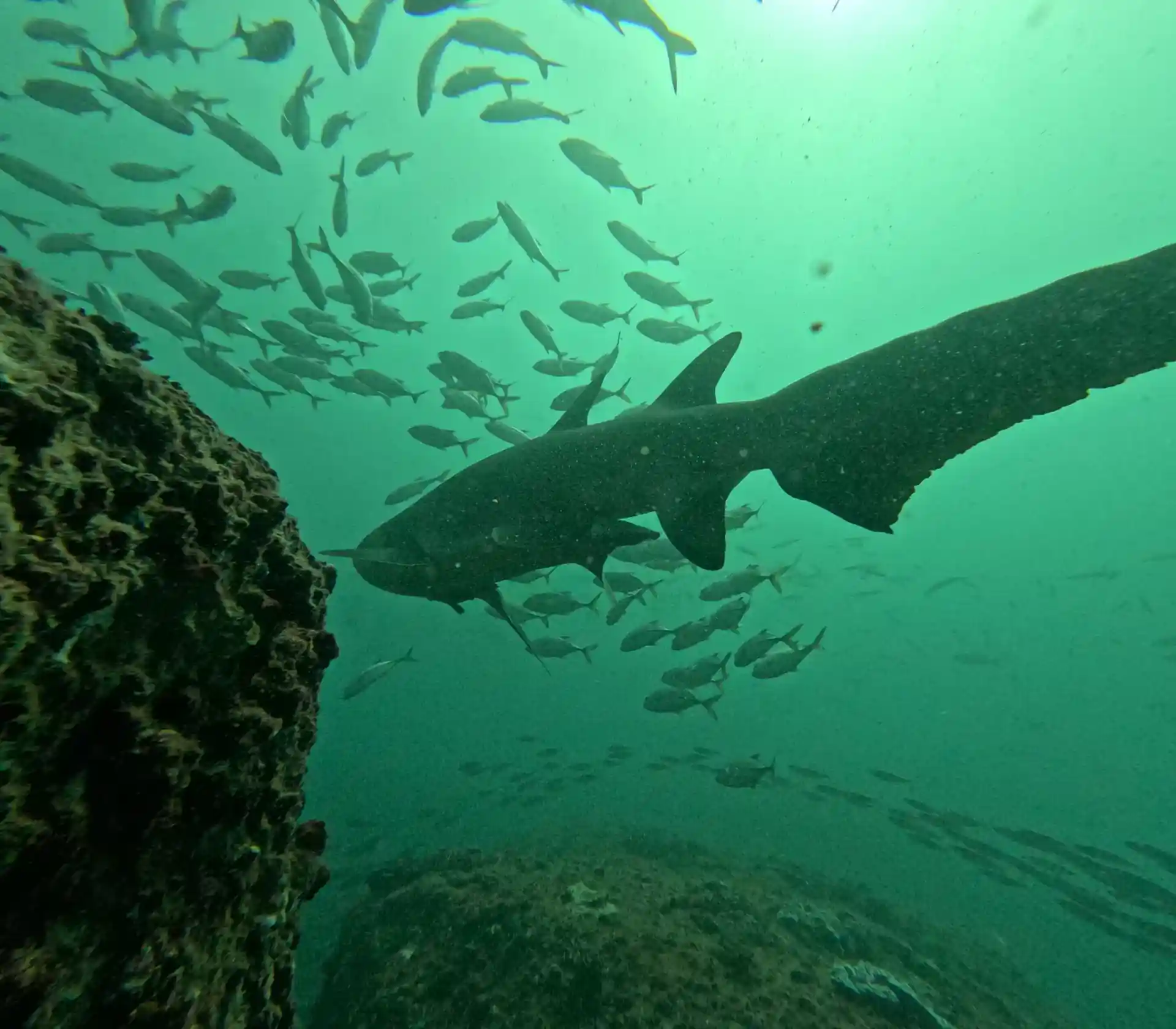 다이빙 포인트 사진