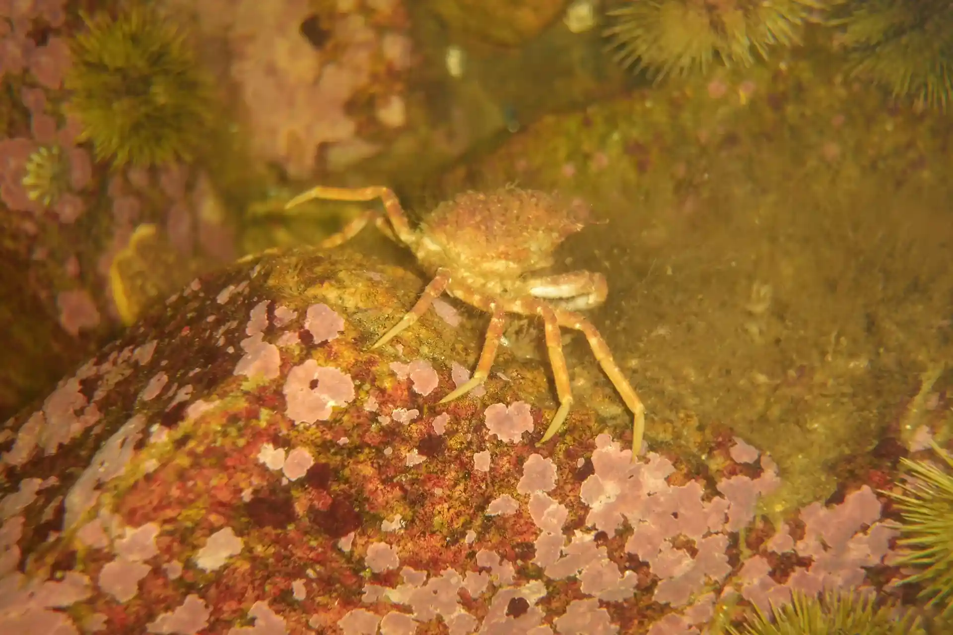 Dive site photo