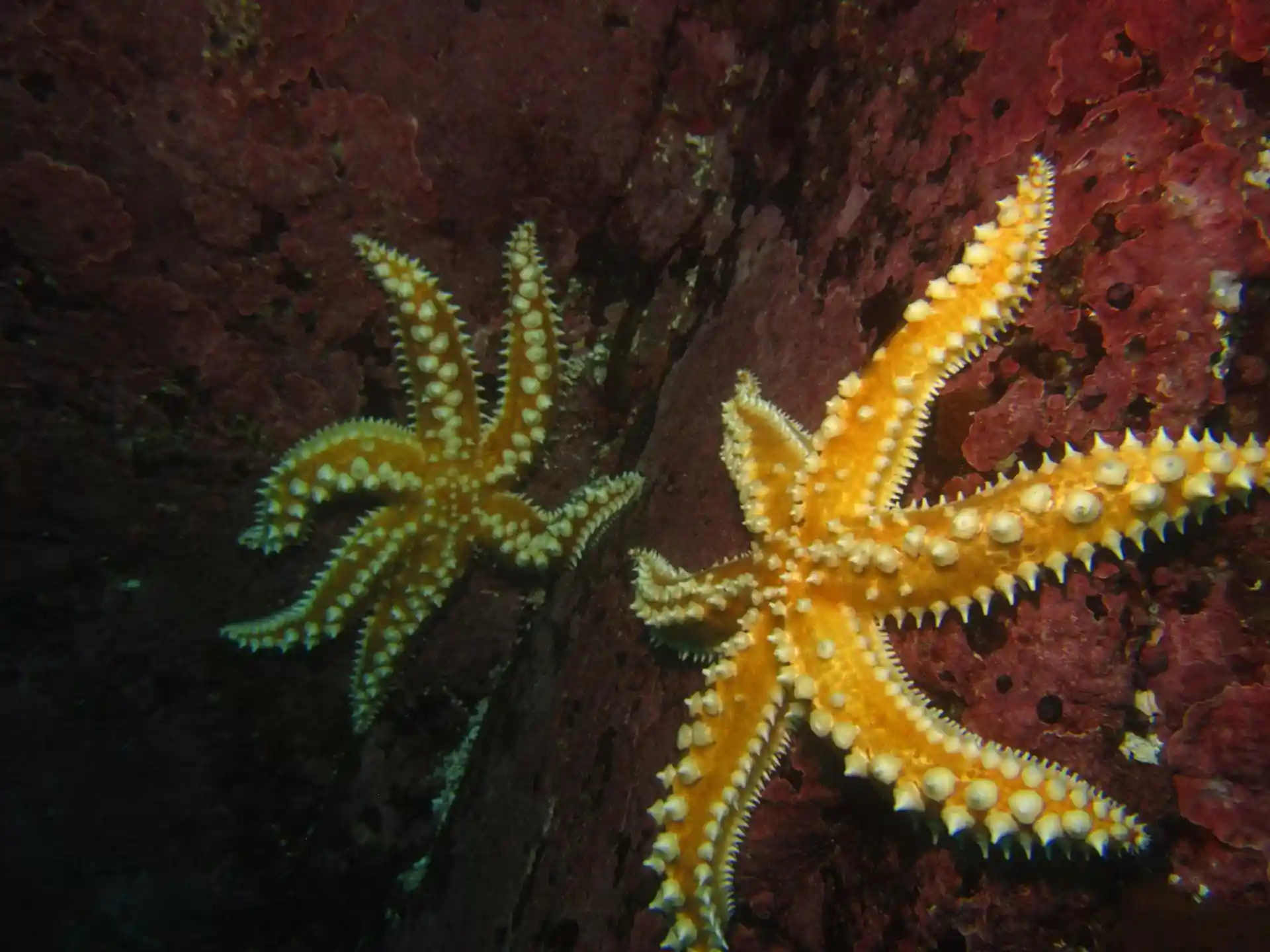 Dive site photo