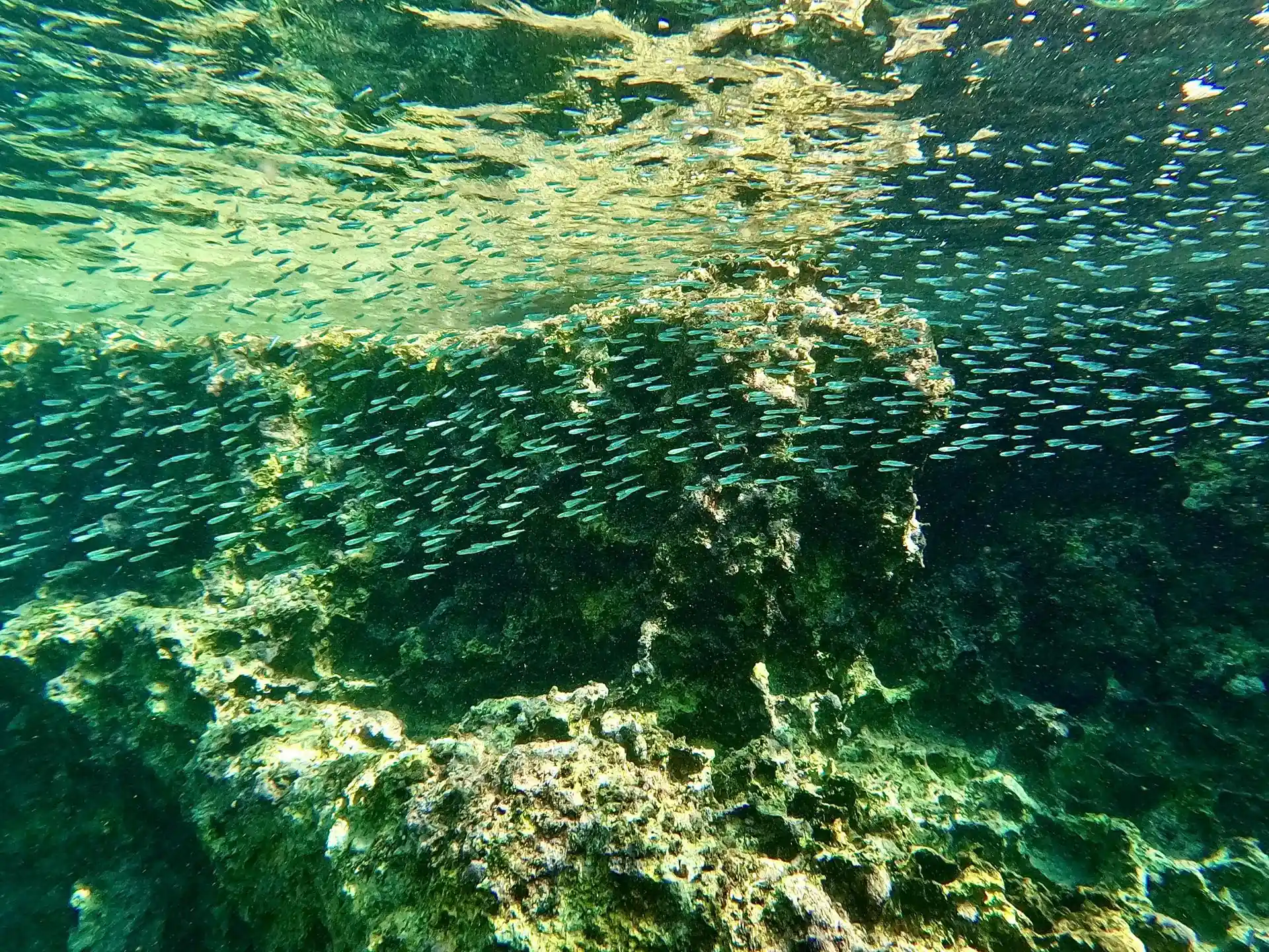 Foto van de duiklocatie