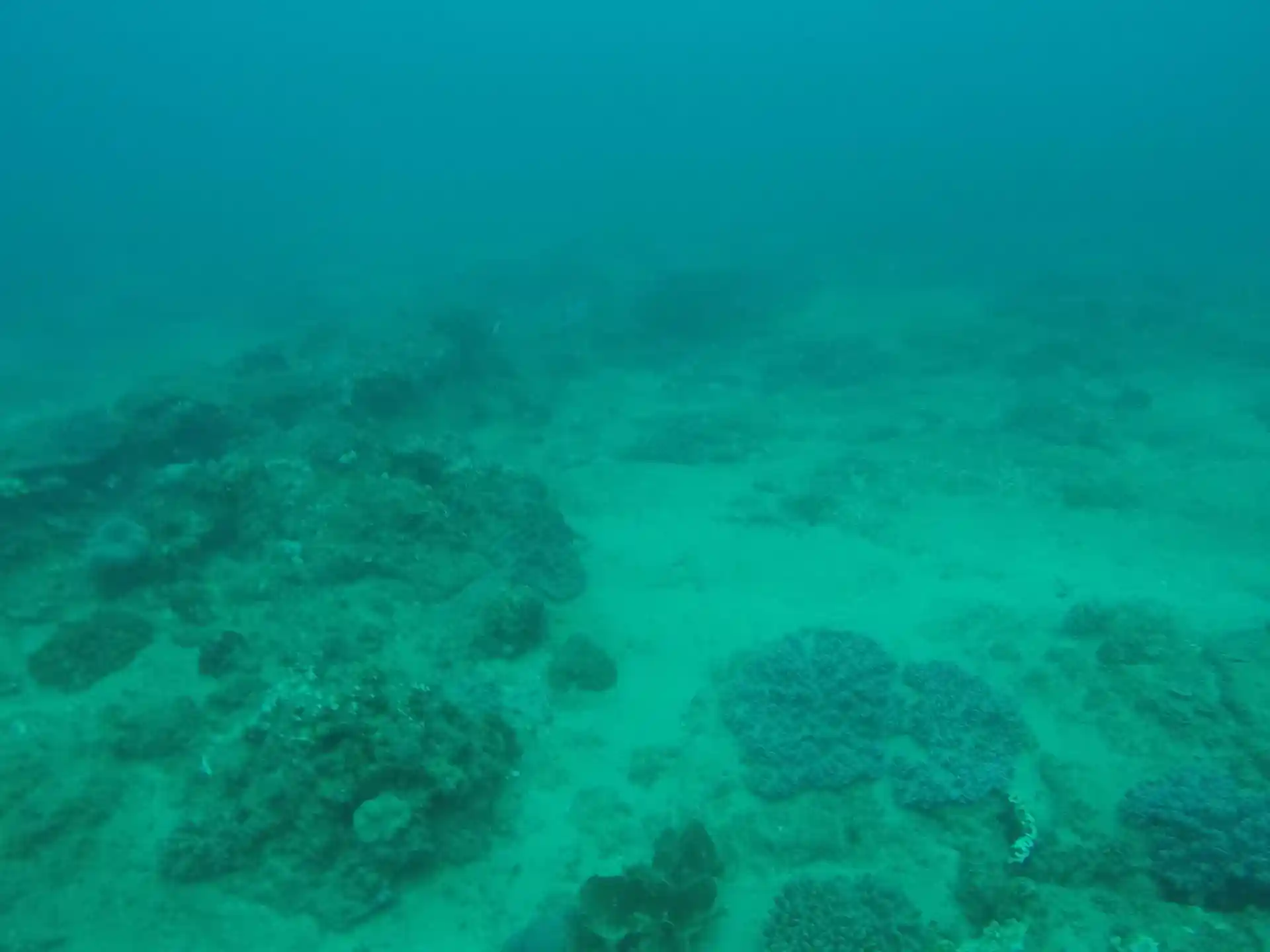 Dive site photo