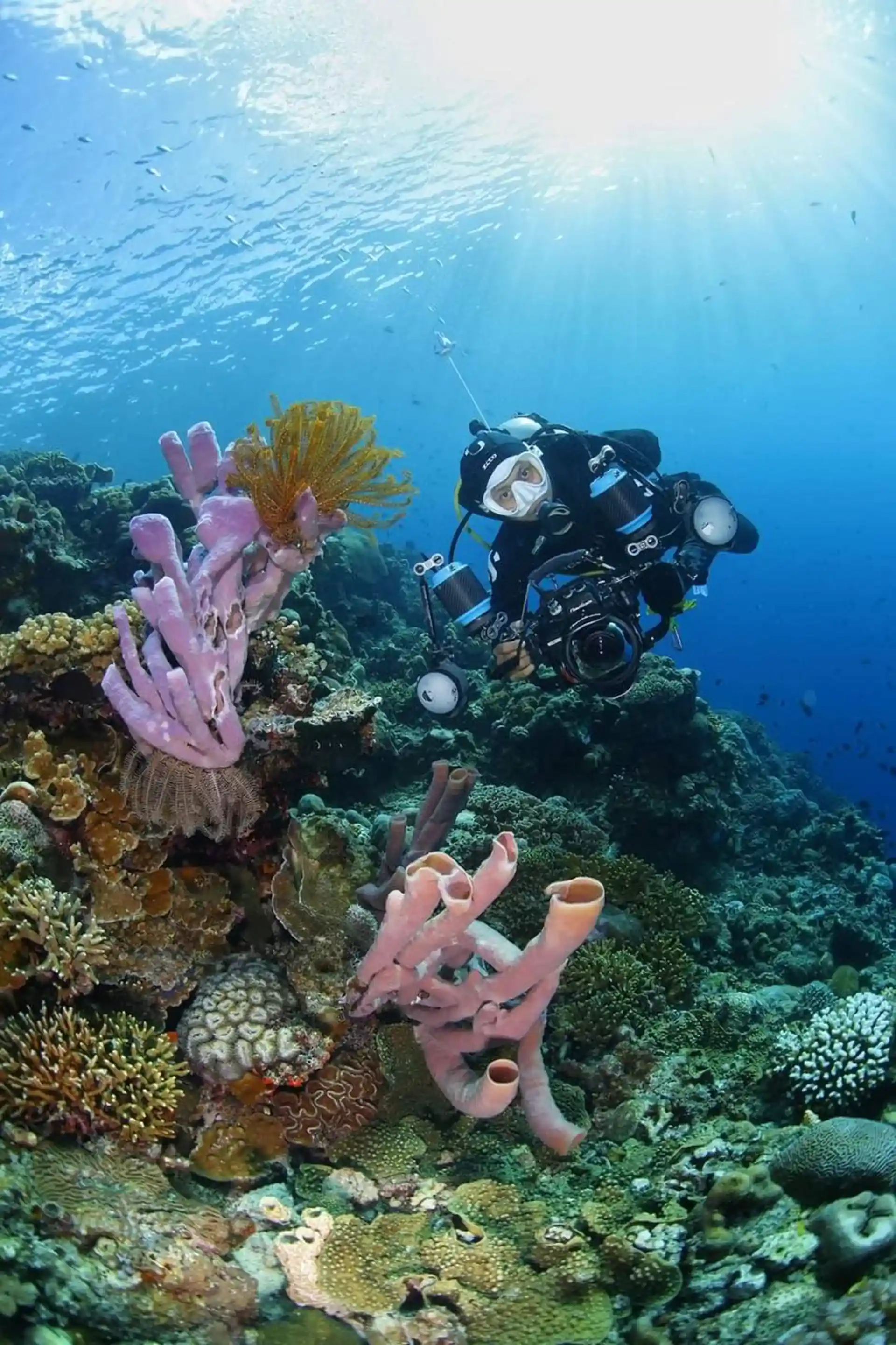 Dive shop photo