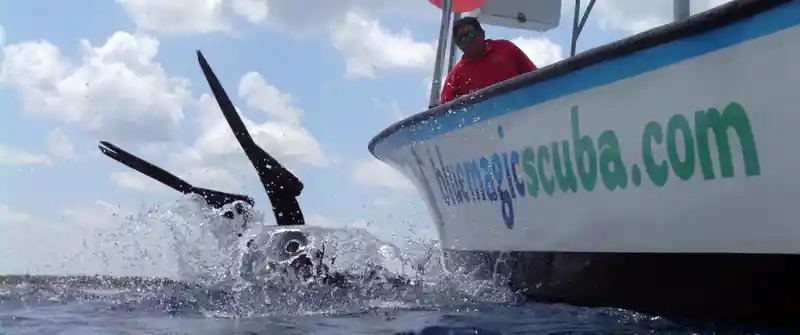 Dive operator picture