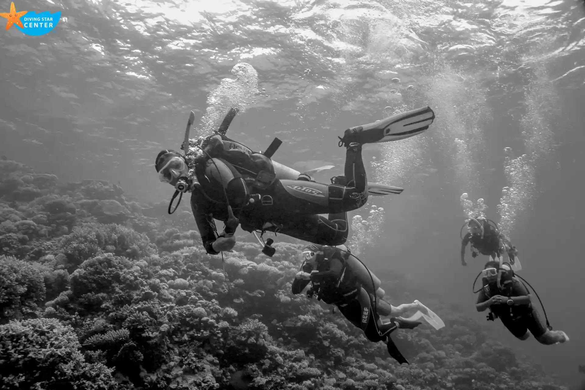 Daily dive with our Master Scuba Dive Trainer : AGNIESZKA WINIECKA
