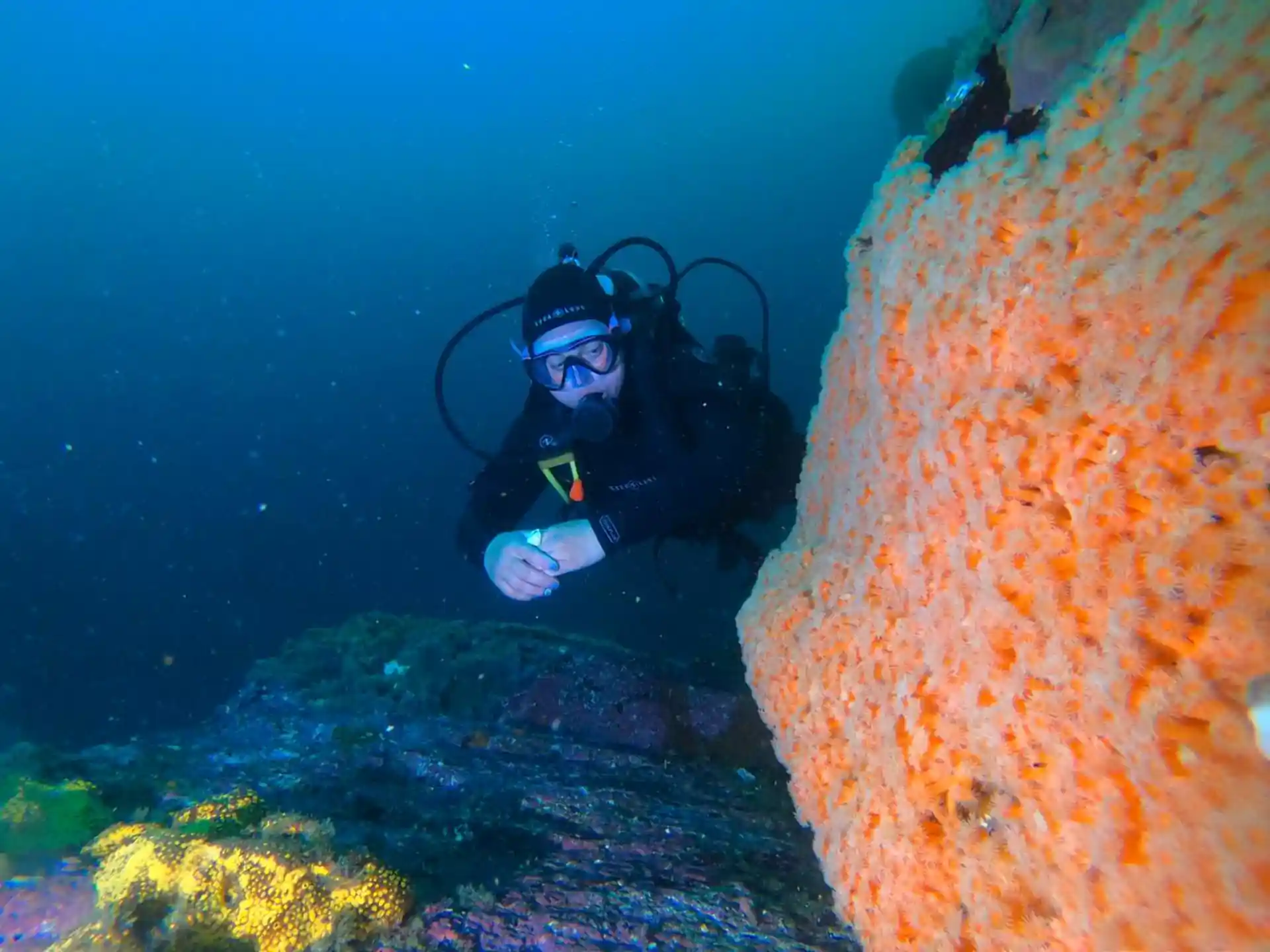 Dive site photo