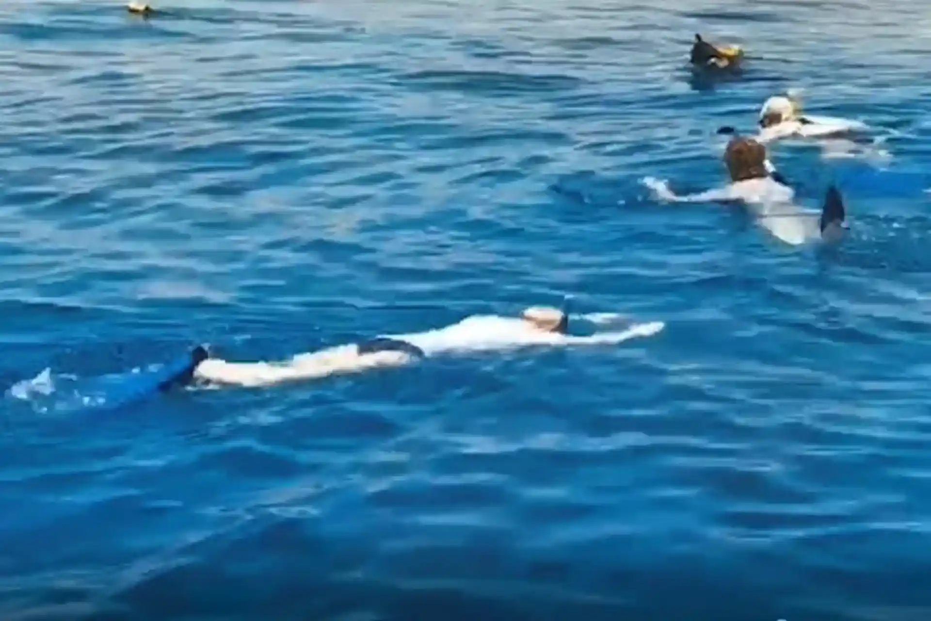 Mask, snorkel and fins. You're ready to explore the Gulf of Aqaba (Red Sea).