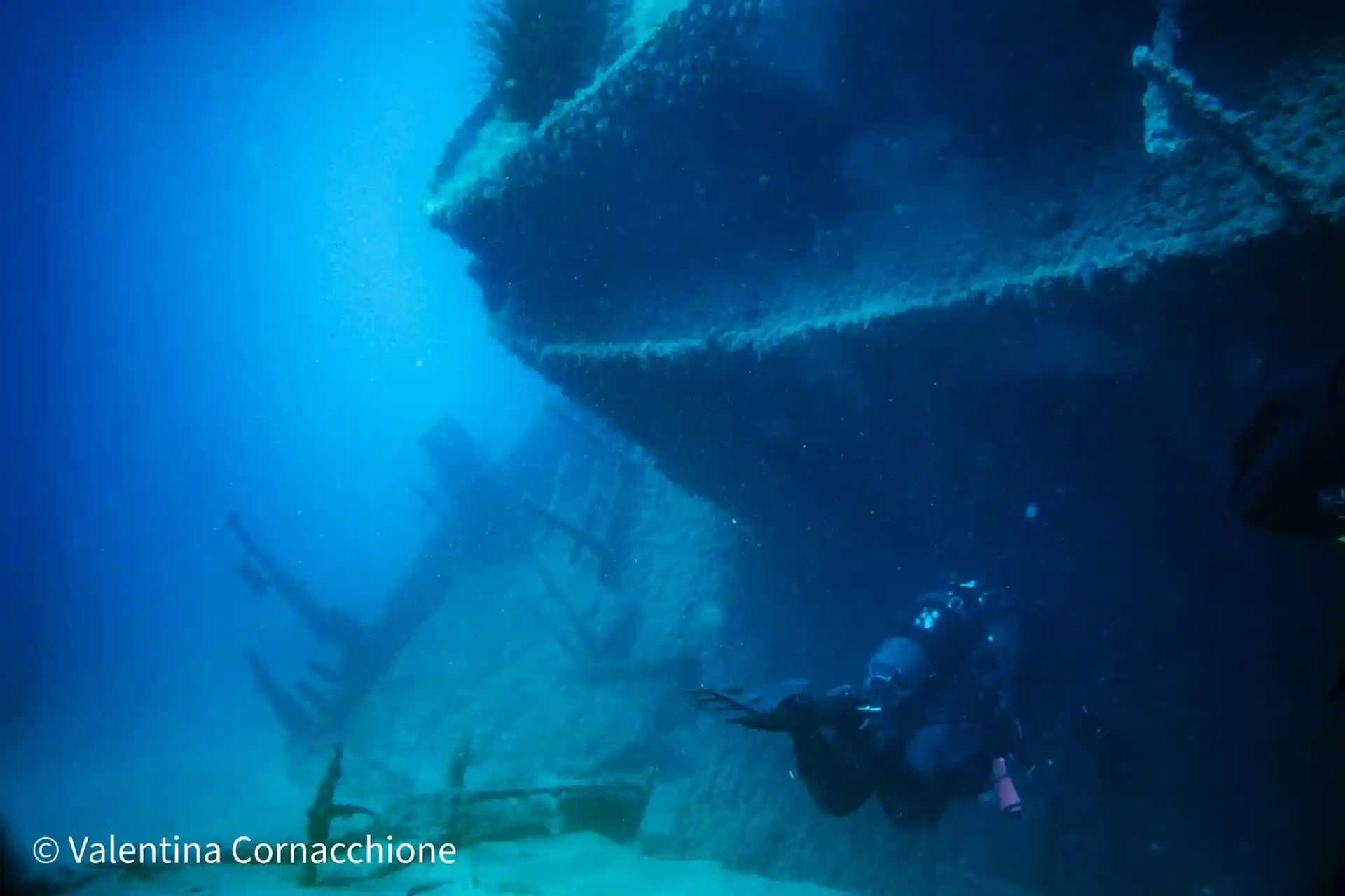 Immersione d'avventura sui relitti
