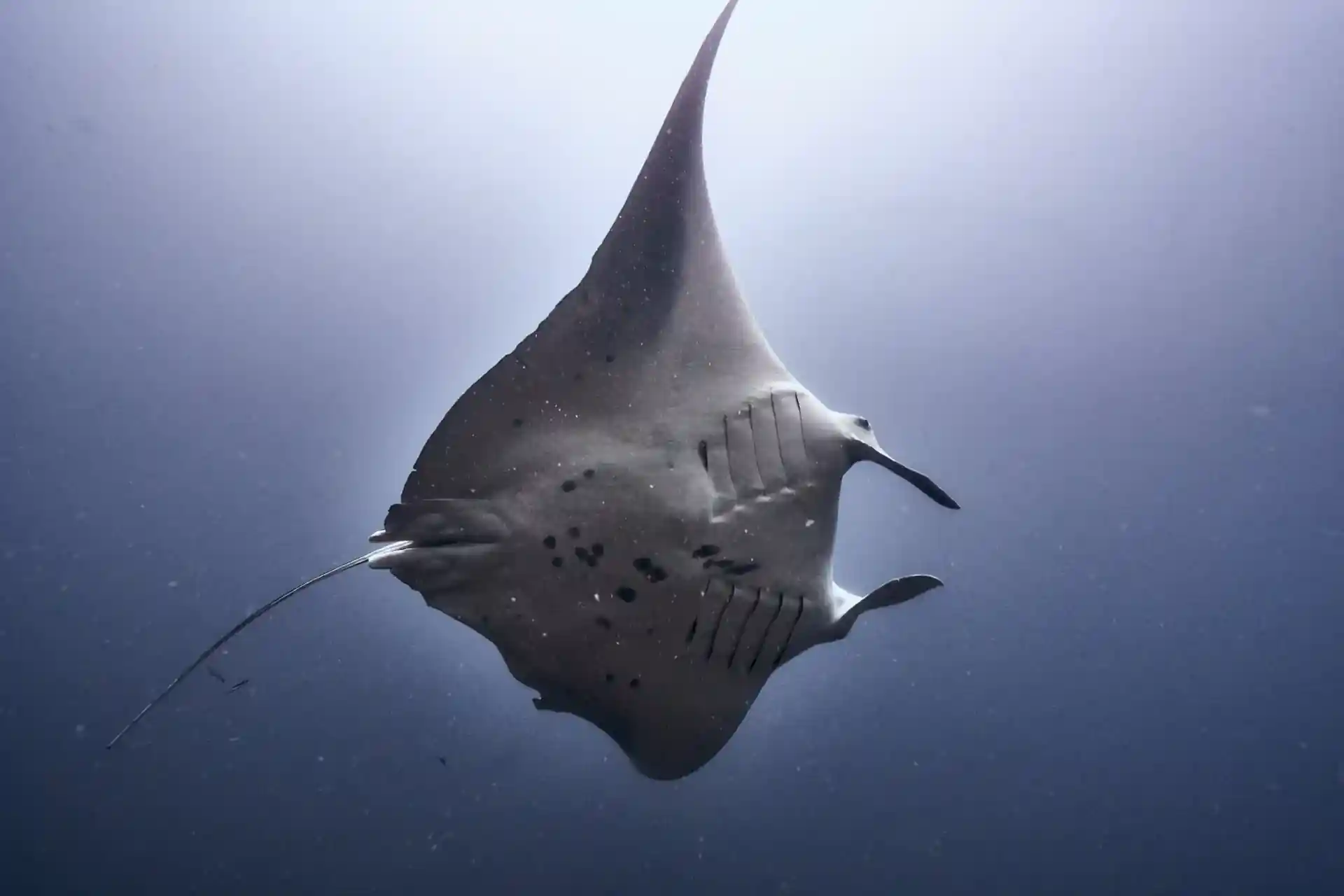 Dive site photo