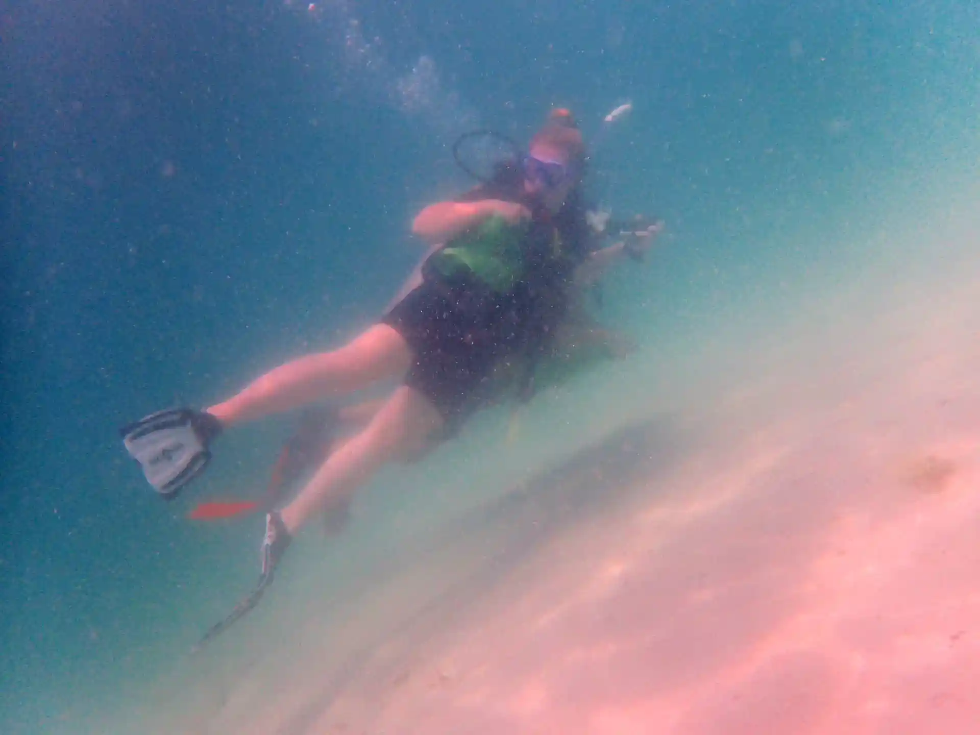 Dive site photo