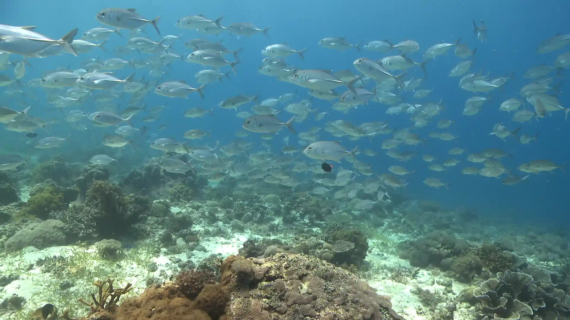 Foto des Tauchplatzes