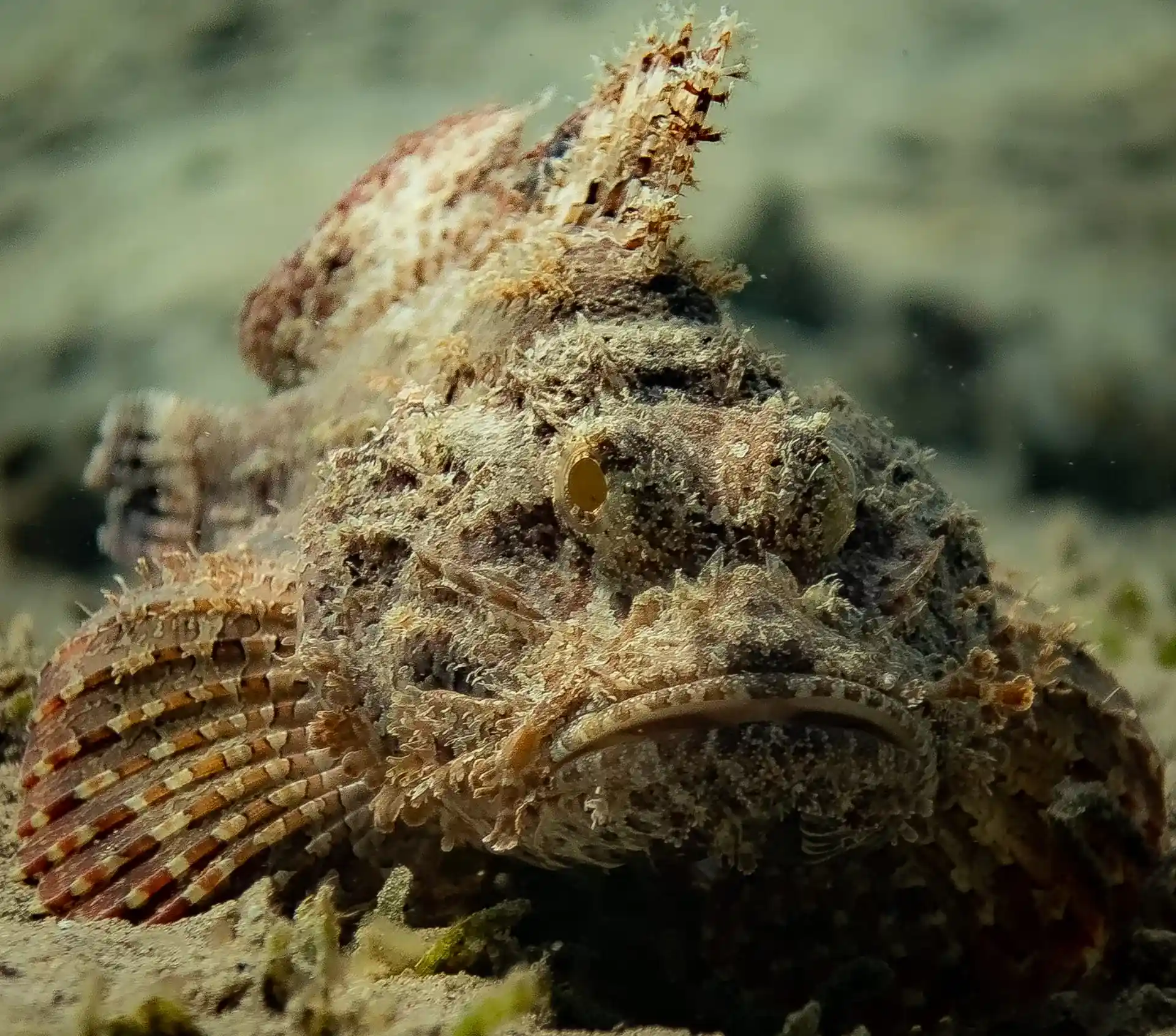 Dive shop photo
